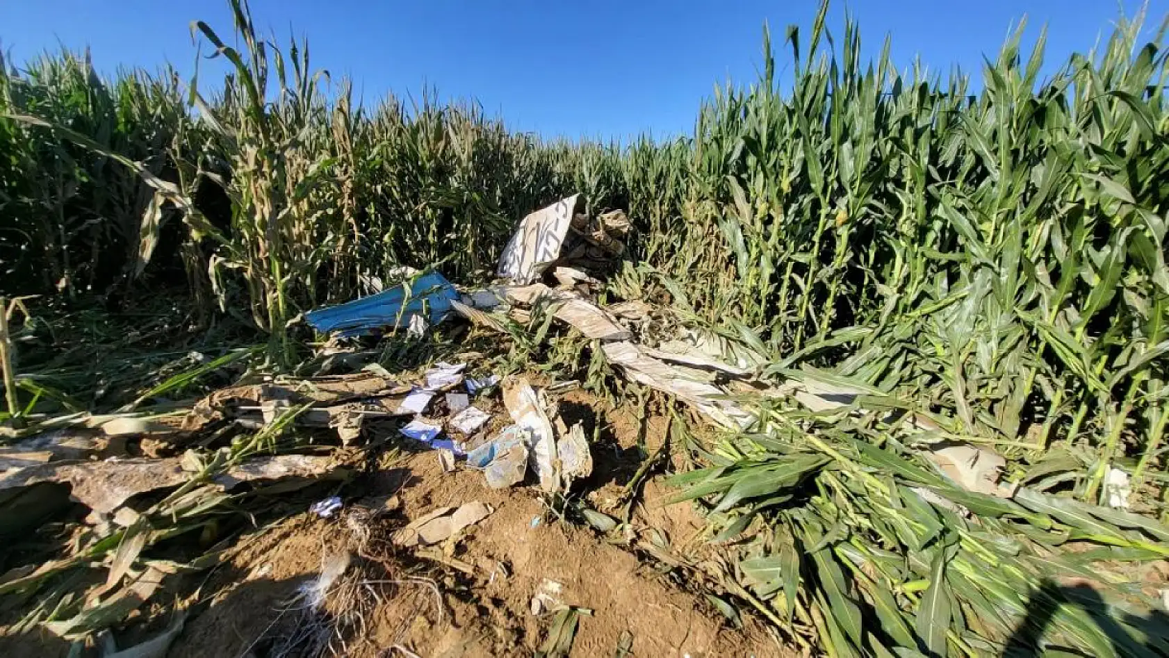 İzmir'de Eğitim Uçağı Mısır Tarlasına Düştü, Cenaze Çıkartıldı