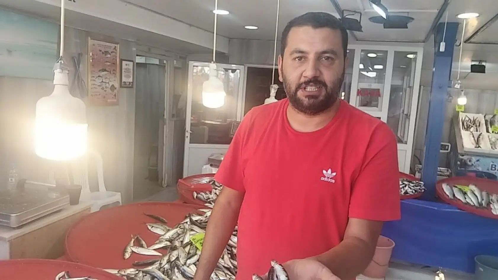 Muğla'da Karadeniz Hamsisi Tezgahlarda: Kilosu 250 TL'den Satılıyor
