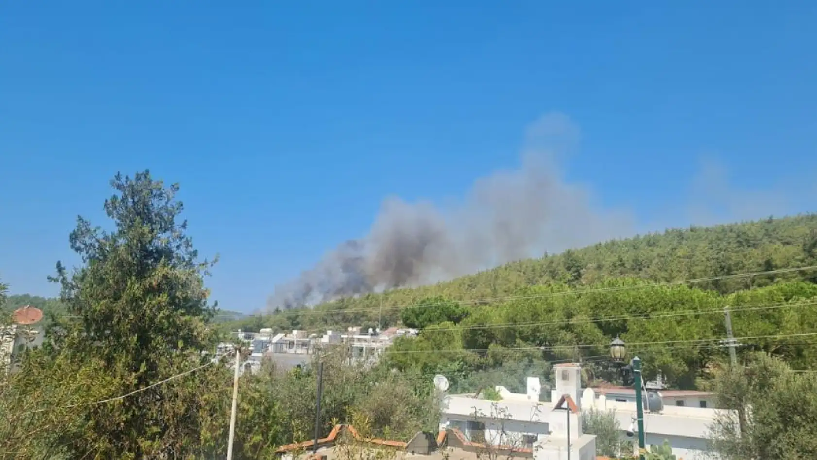 Bodrum'da orman yangını başladı