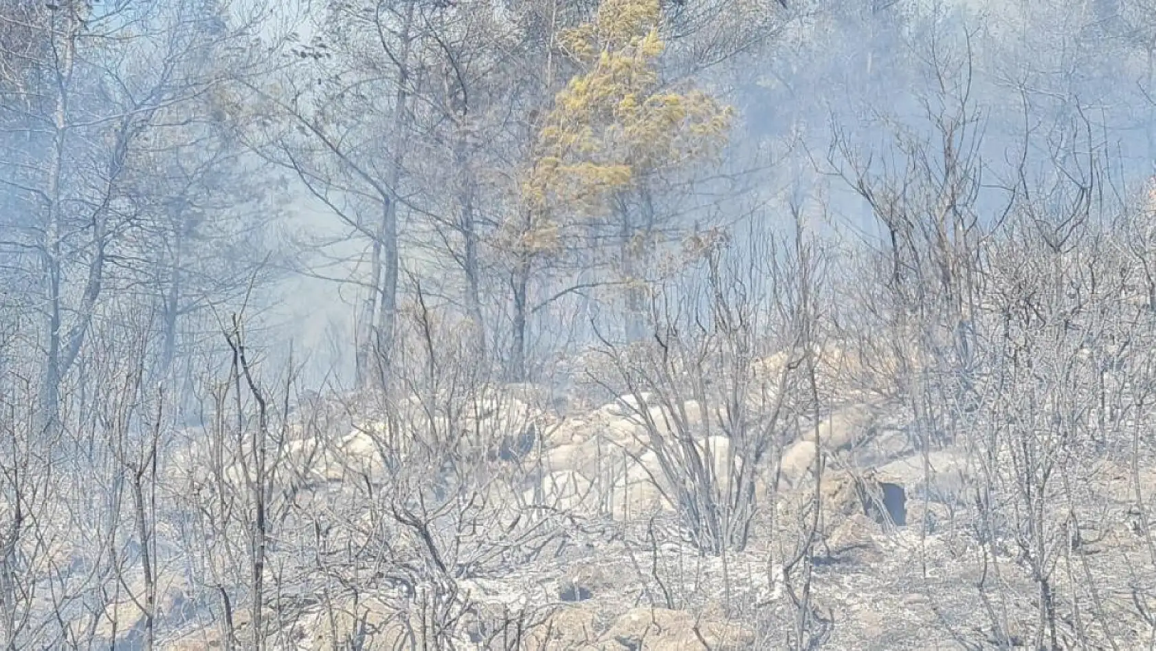 Bodrum orman yangınına yoğun müdahale