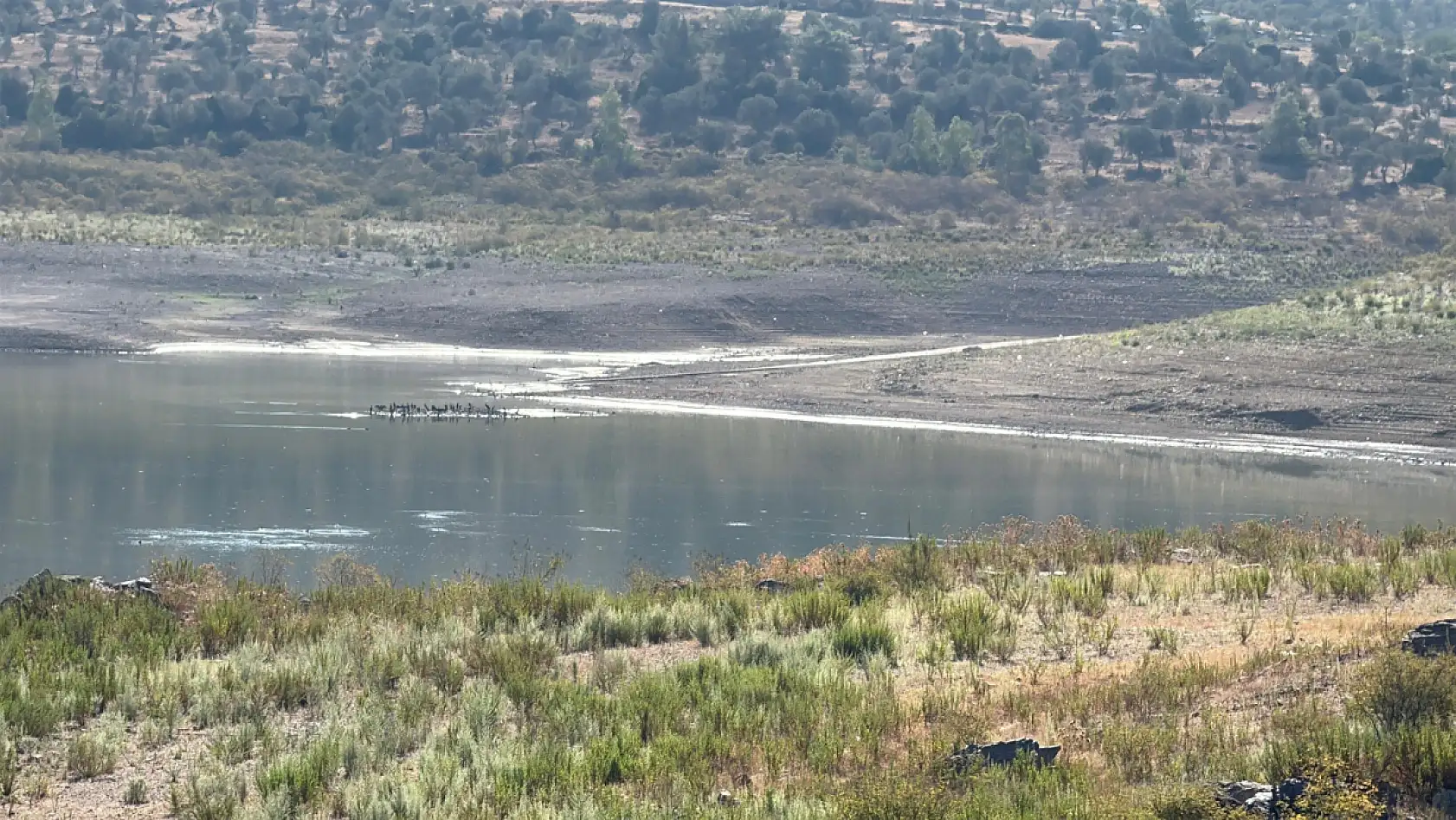 Bodrum'da musluklar kurudu, baraj suyu tarlalara aktı