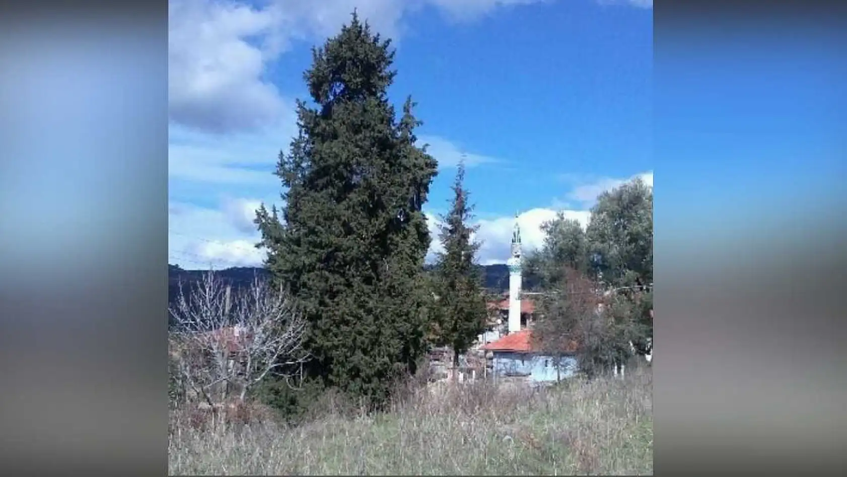 Göktepeliler, asırlık ağaca sahip çıkıyor