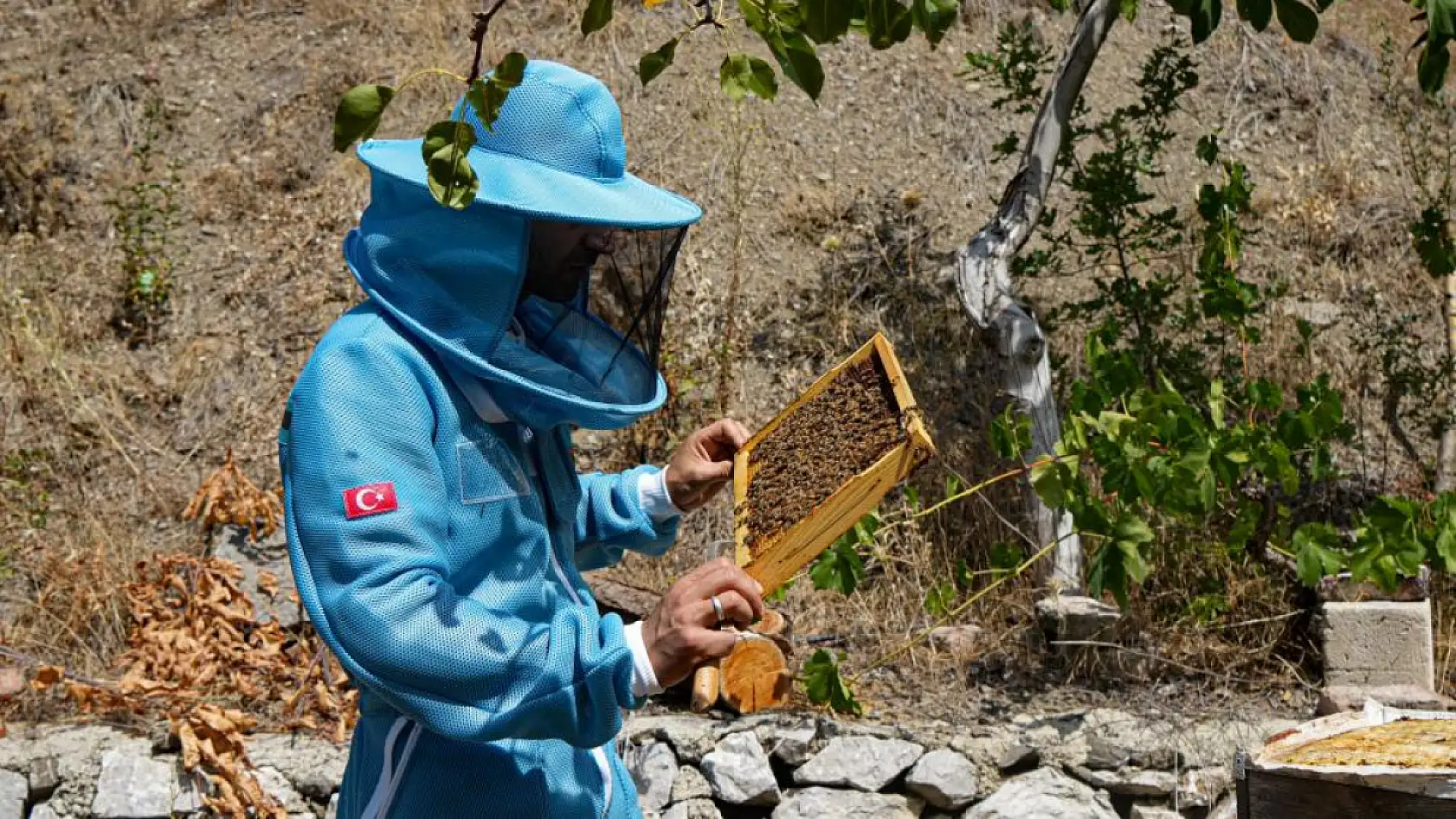 Genç Arıcı Yılda 2 Ton Bal Üretiyor
