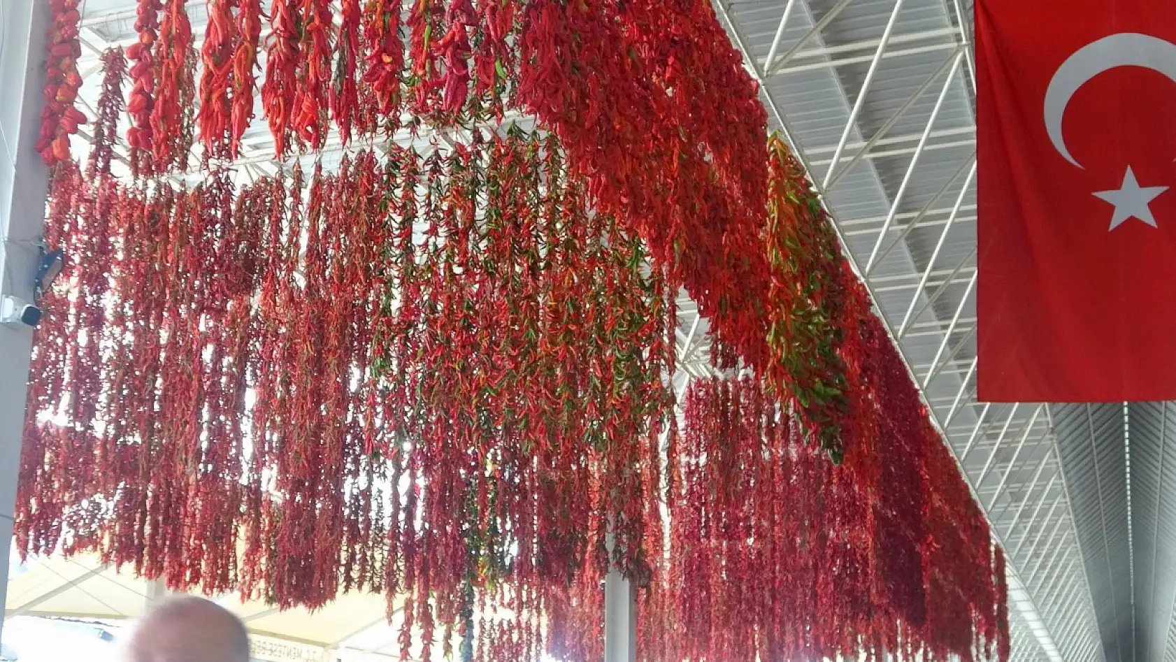 Muğla'da kurutmalıklar yurt dışına açıldı