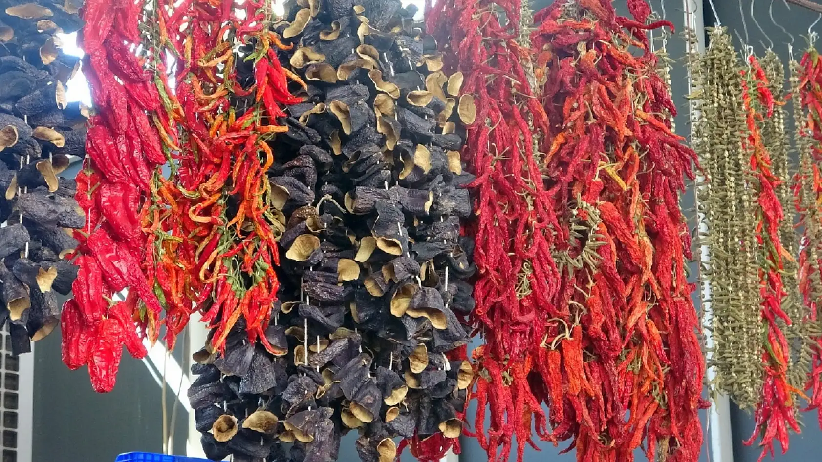 Muğla'da kurutmalıklar yurt dışına açıldı