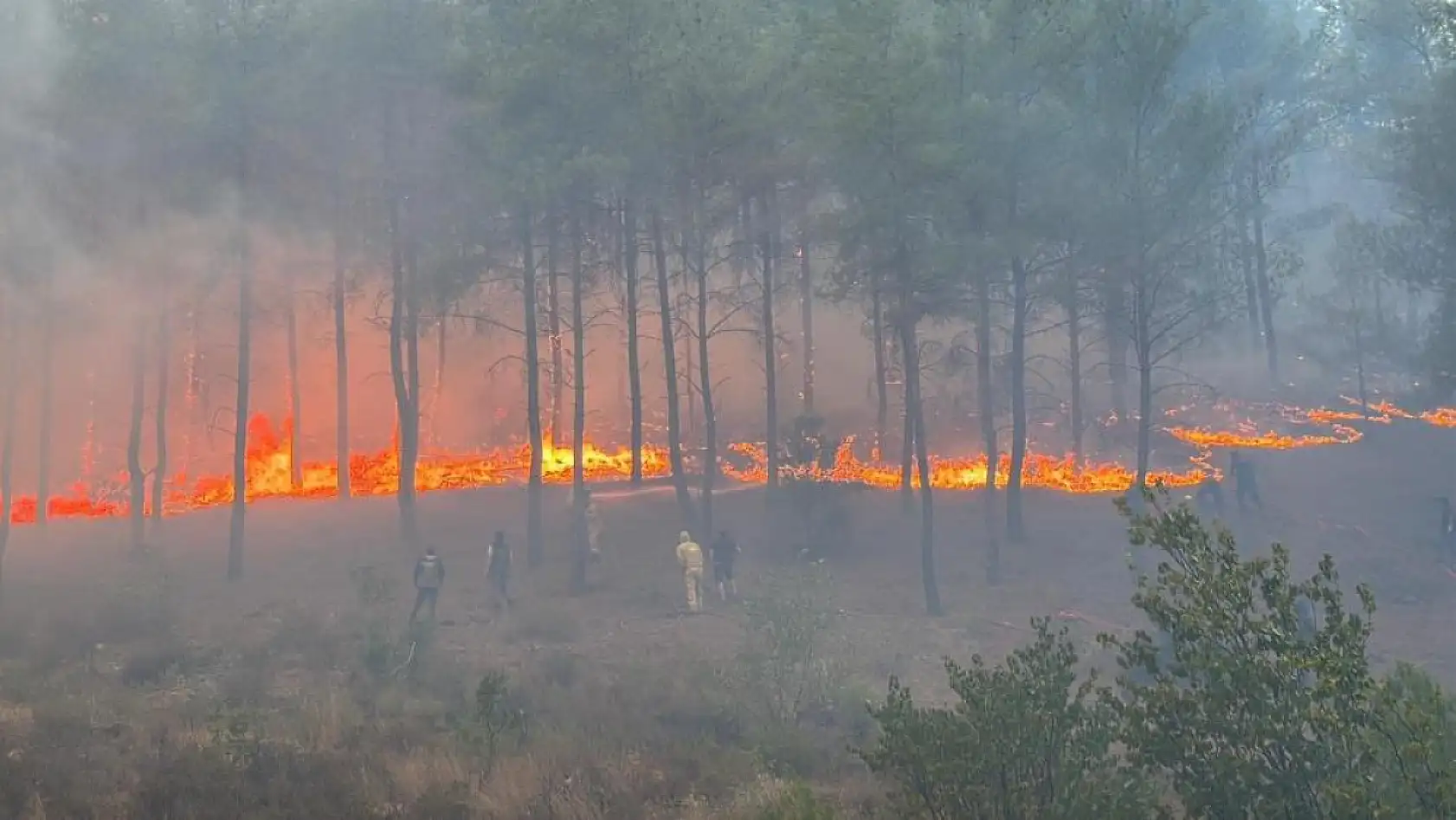 Köyceğiz'de 108 ev tahliye edildi