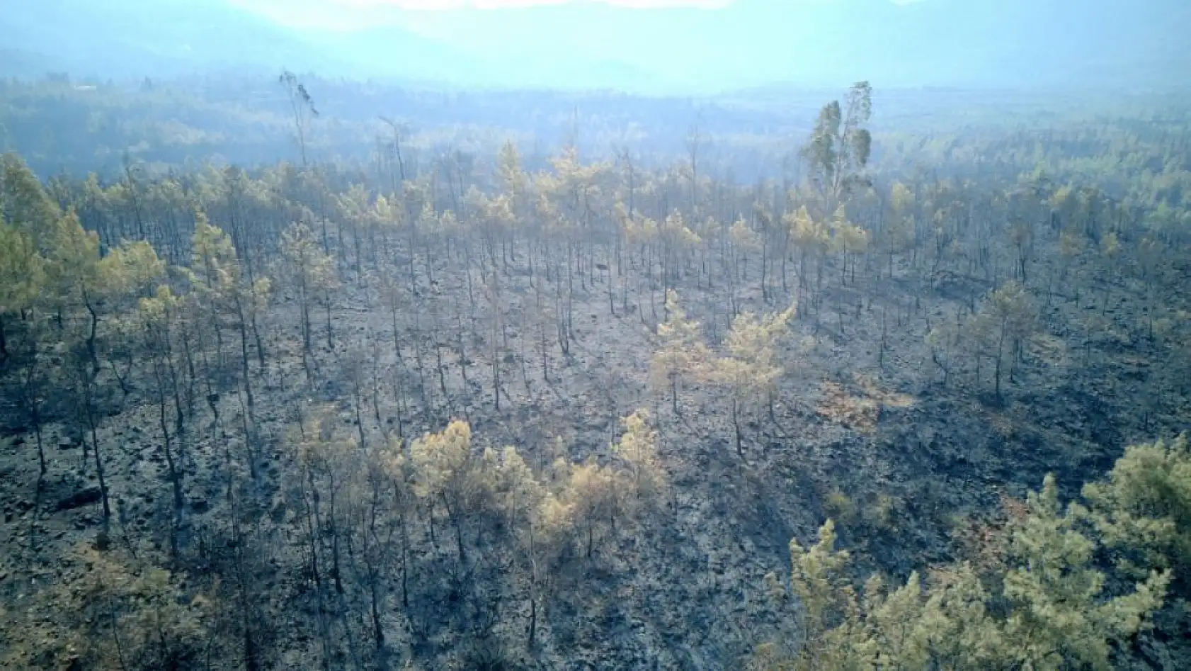 Muğla'da yangın felaketinin boyutu drone görüntüleriyle ortaya çıktı