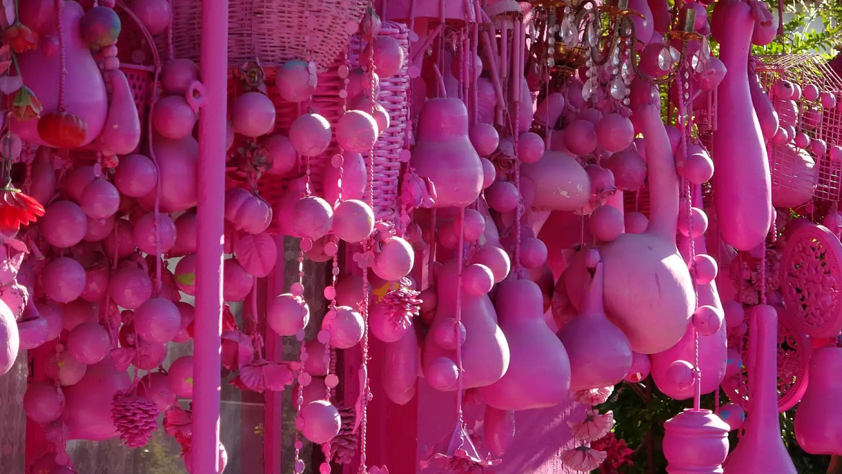 Pembe renk tutkusuyla bilinen 'Barbie Teyzesi' pembe evine mahkum kaldı