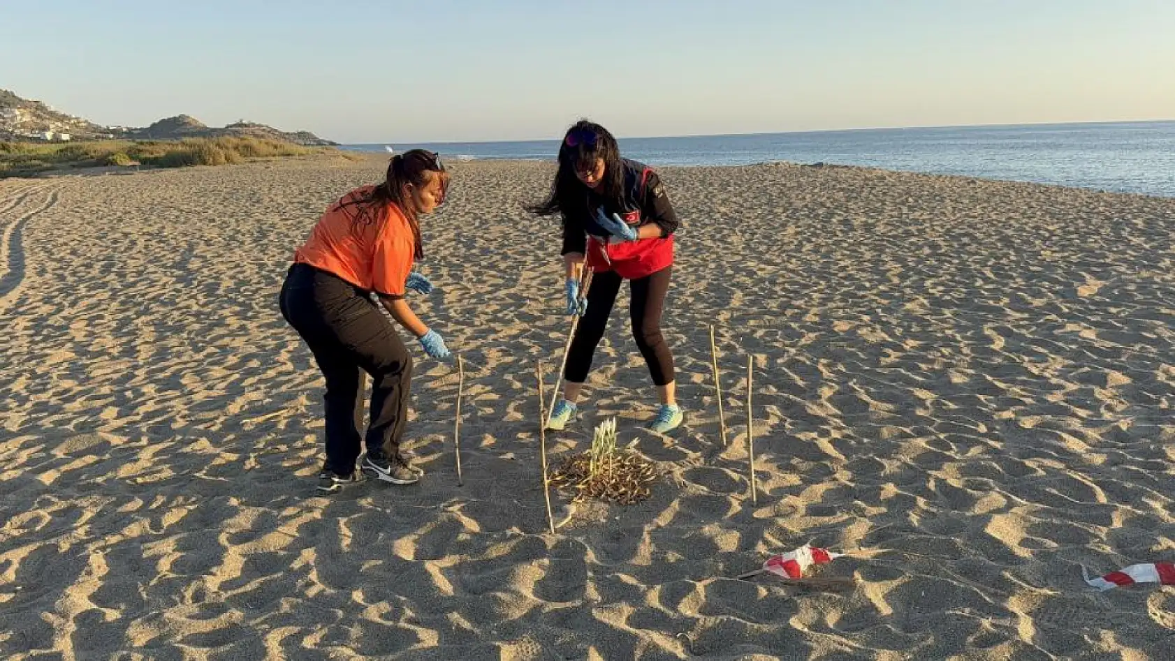 Nesli Tehlike Altındaki Kum Zambaklarına Dokunana 557 Bin TL Ceza!
