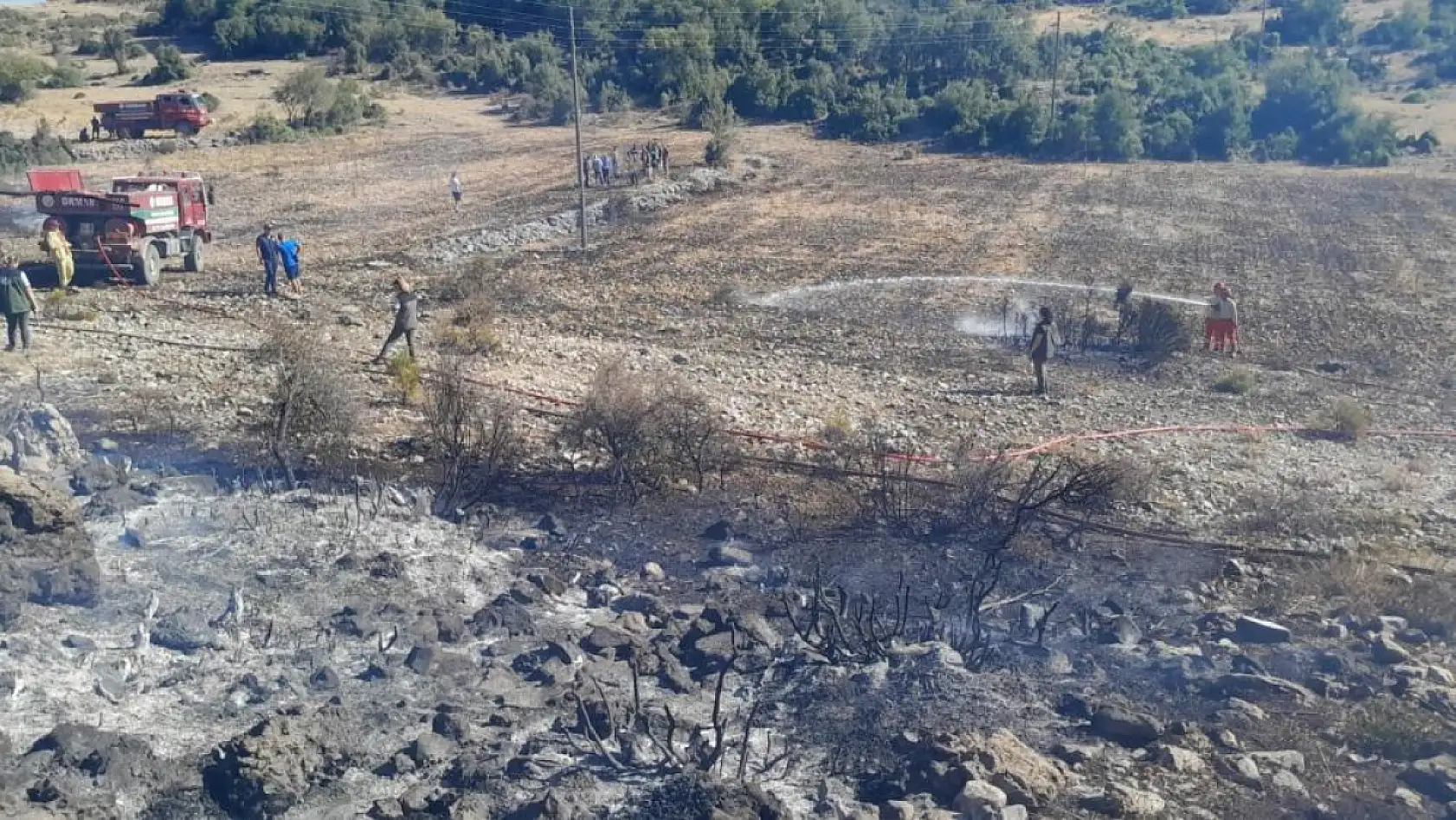Muğla Menteşe'de çıkan yangın söndürüldü