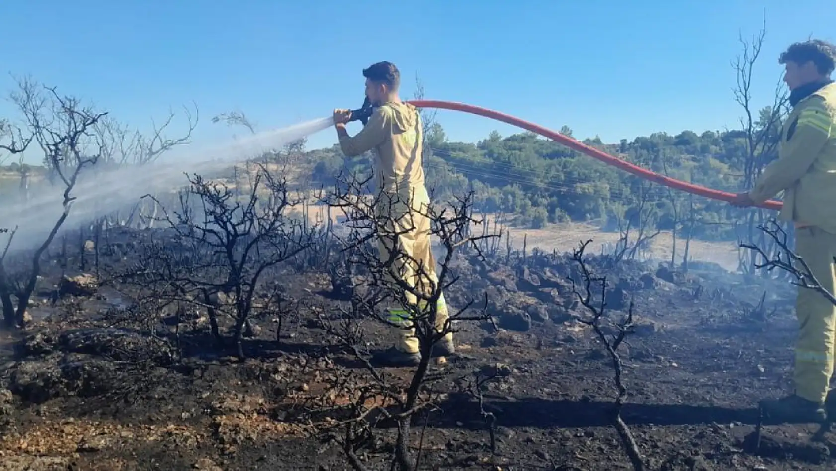 Muğla Menteşe'de çıkan yangın söndürüldü