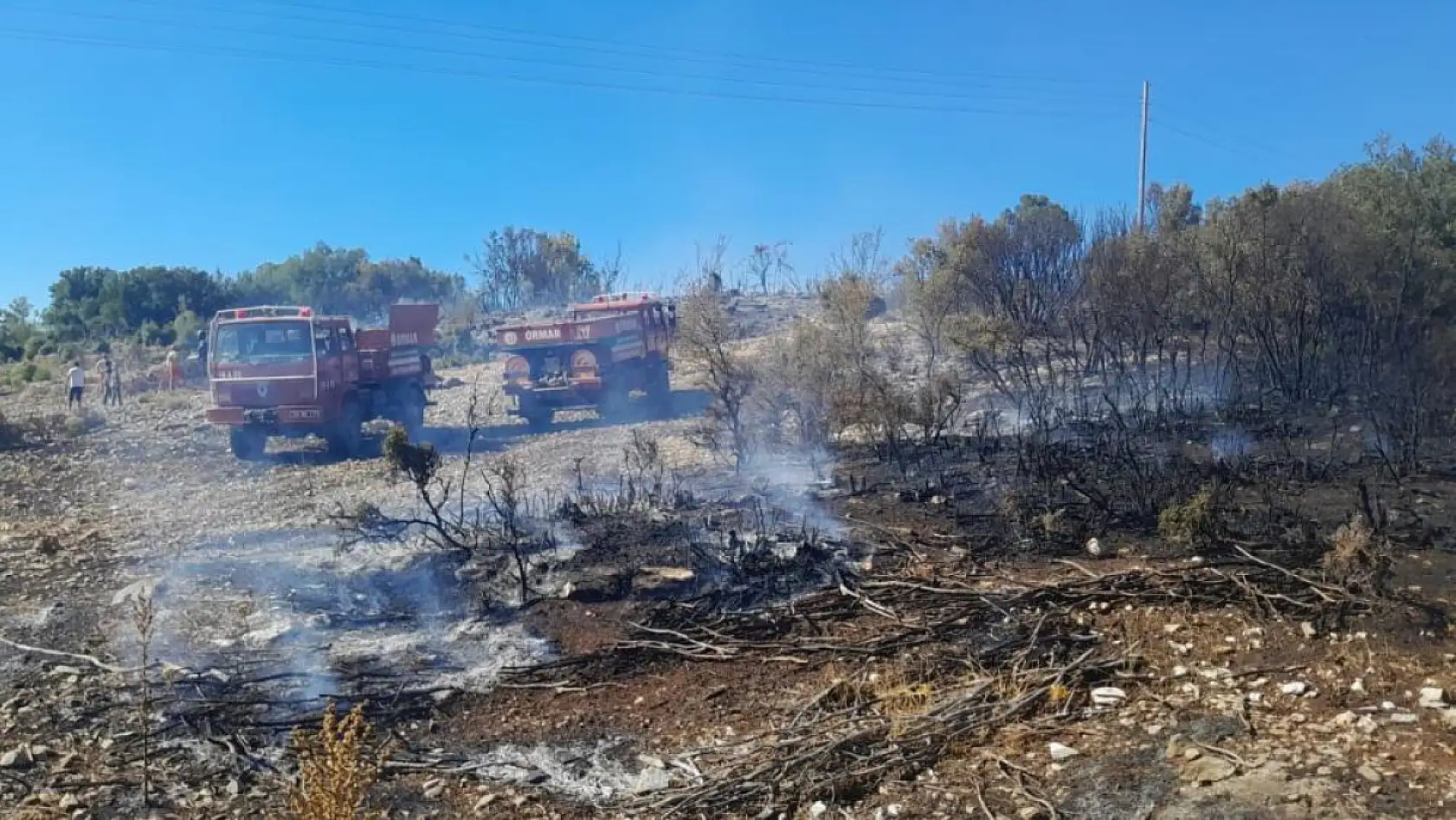 Muğla Menteşe'de çıkan yangın söndürüldü