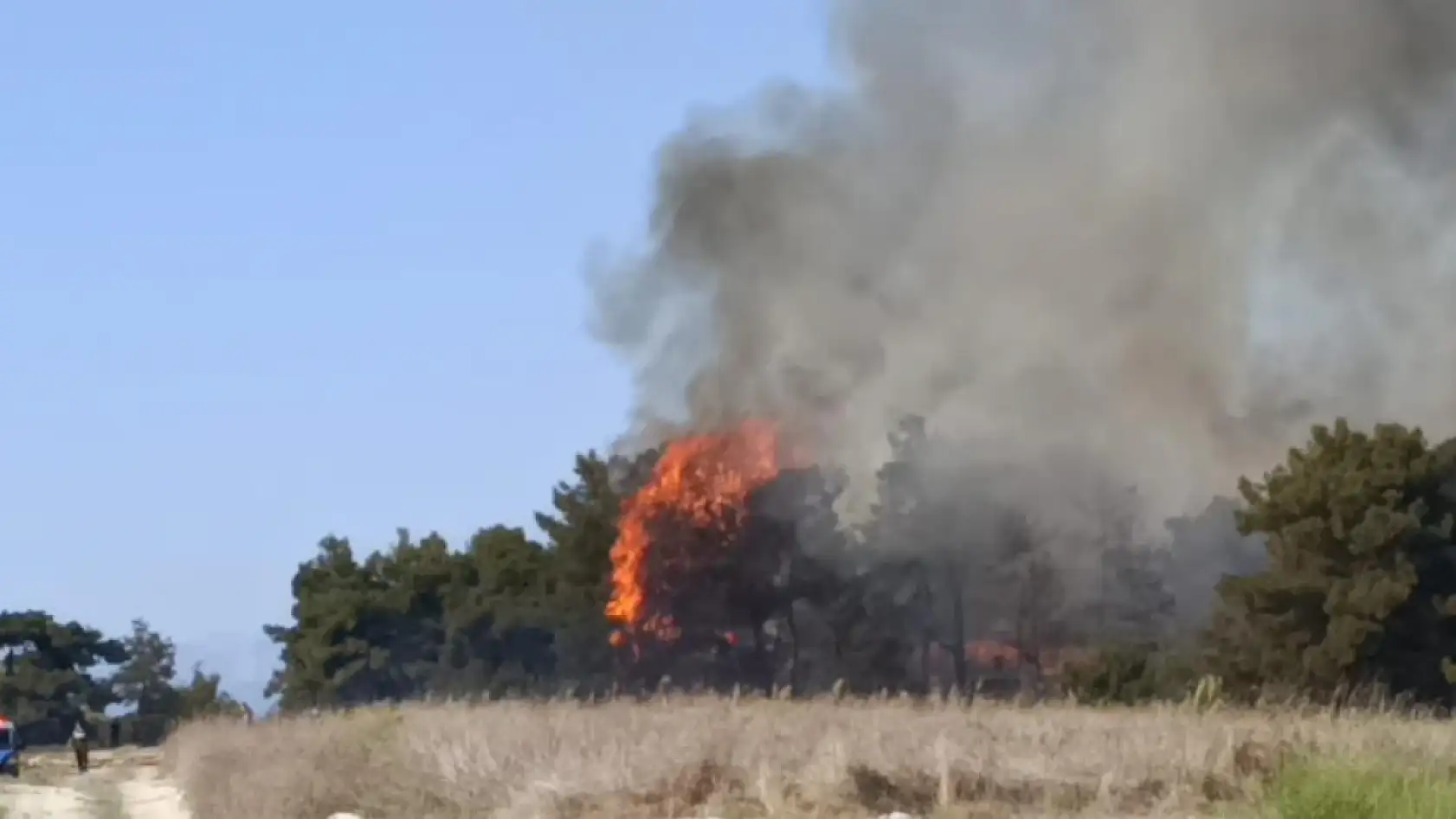 Antalya'nın Manavgat ilçesinde yangın paniği
