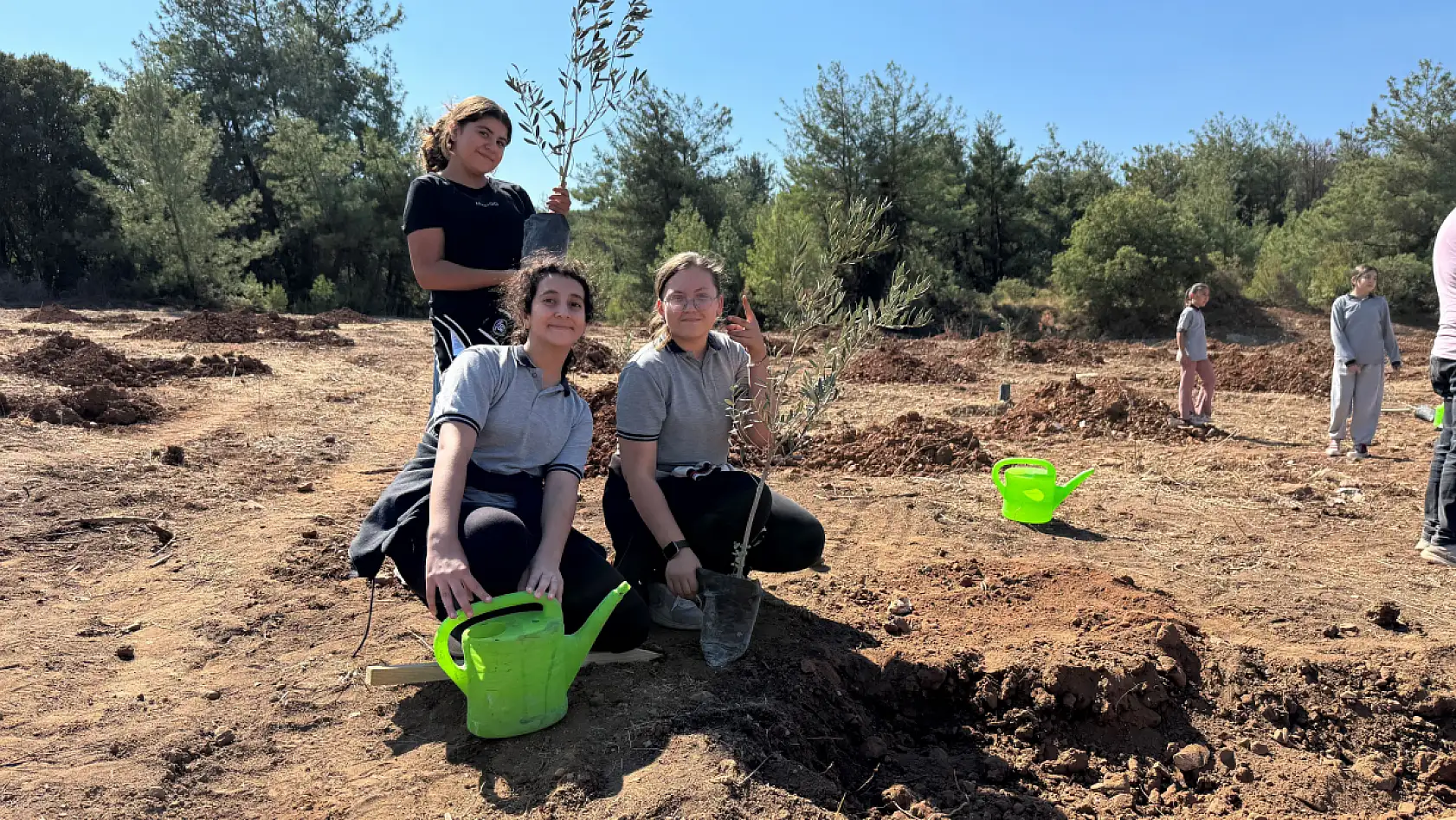 Milas'ta ilkokul öğrencileri 300 zeytin fidanını toprakla buluşturdu