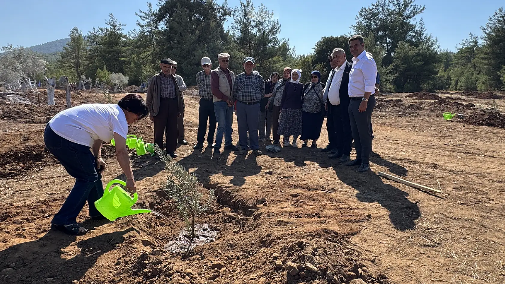 Milas'ta ilkokul öğrencileri 300 zeytin fidanını toprakla buluşturdu