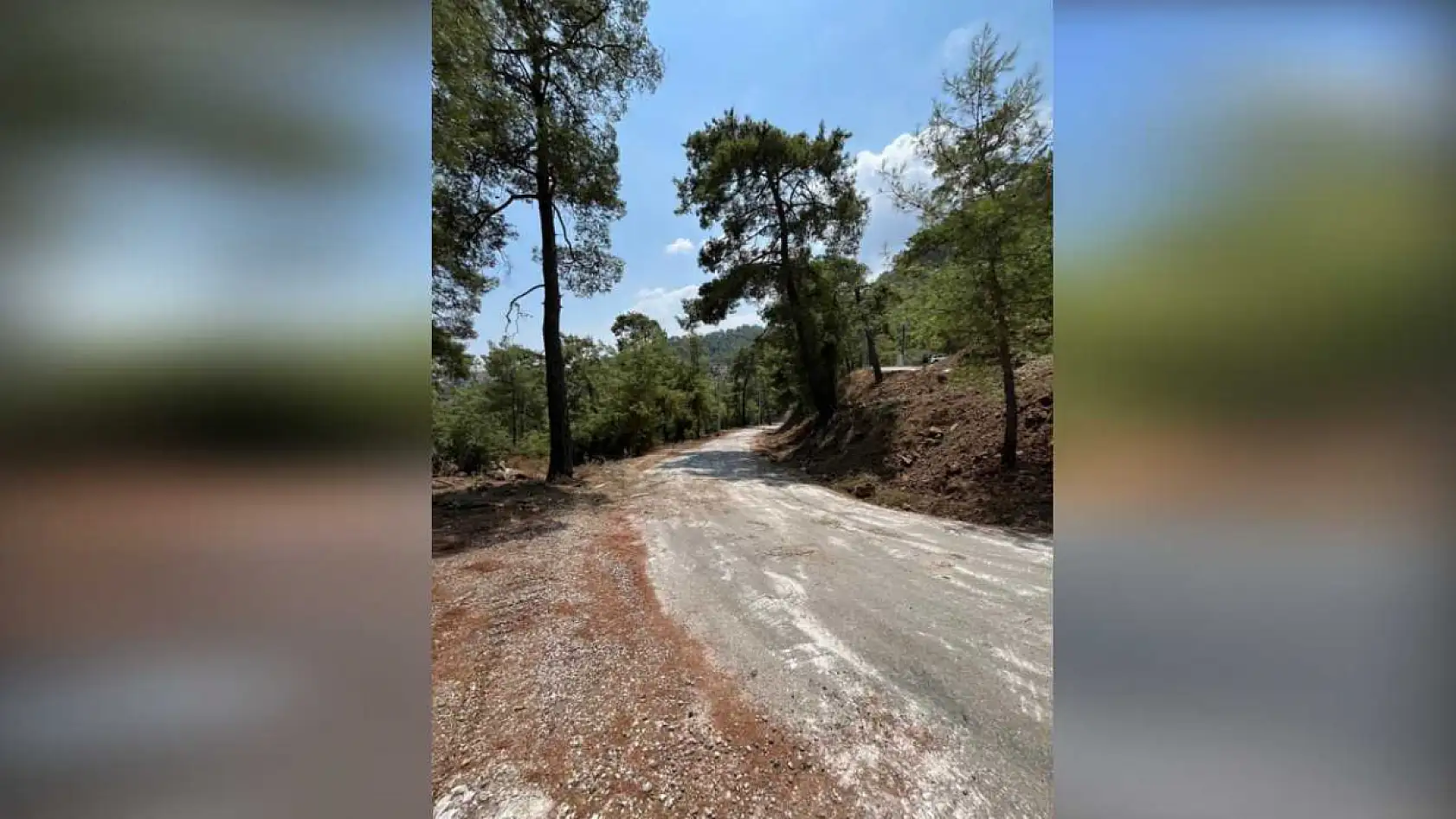 Marmaris orman ekipleri yıl boyunca yangınlara karşı teyakkuzda