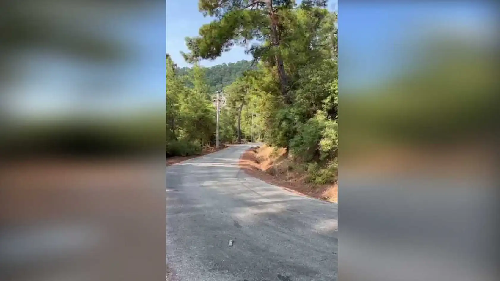 Marmaris orman ekipleri yıl boyunca yangınlara karşı teyakkuzda