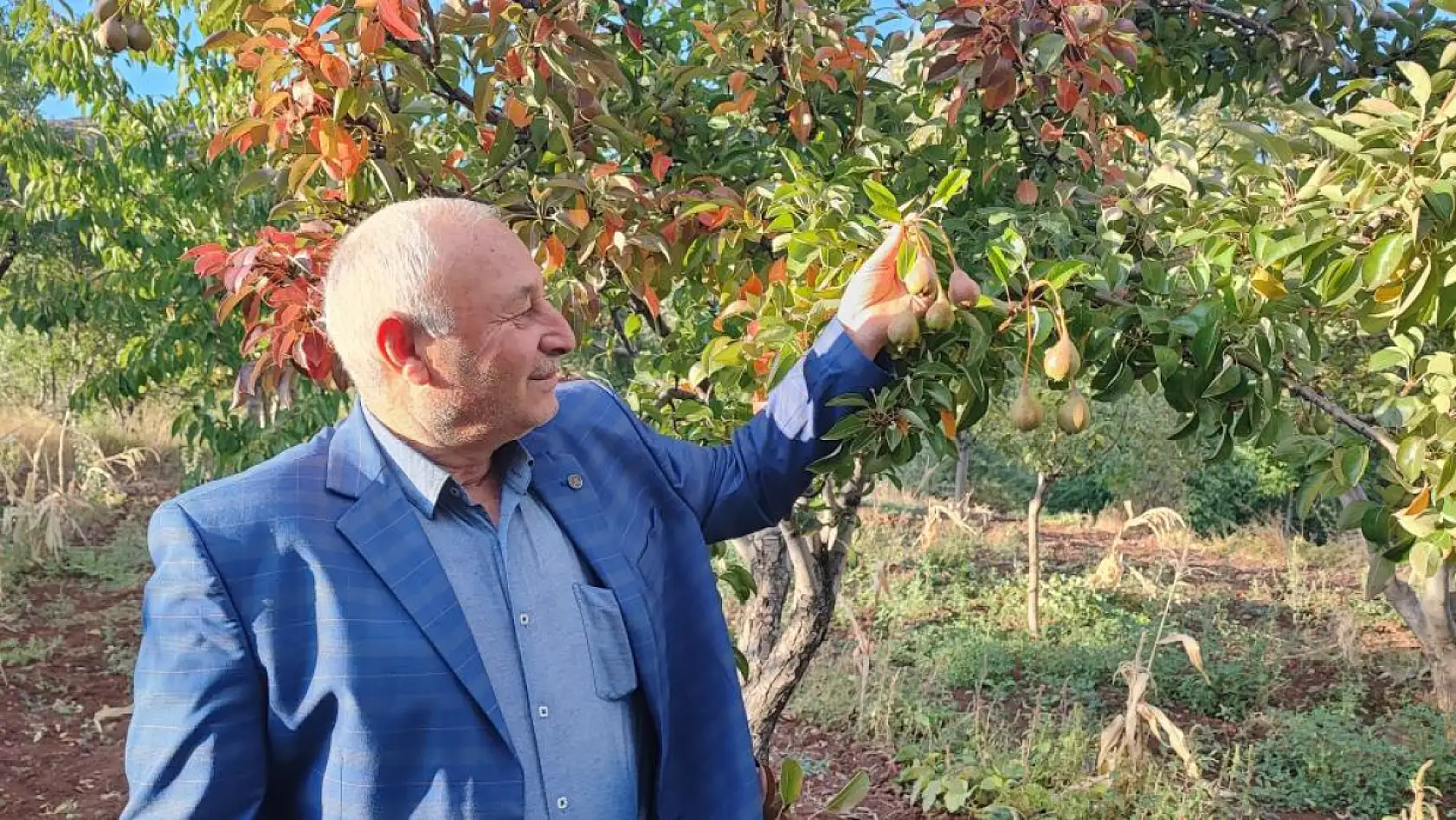 60 yaşındaki çiftçi: 'İlk kez böyle bir şey görüyorum'