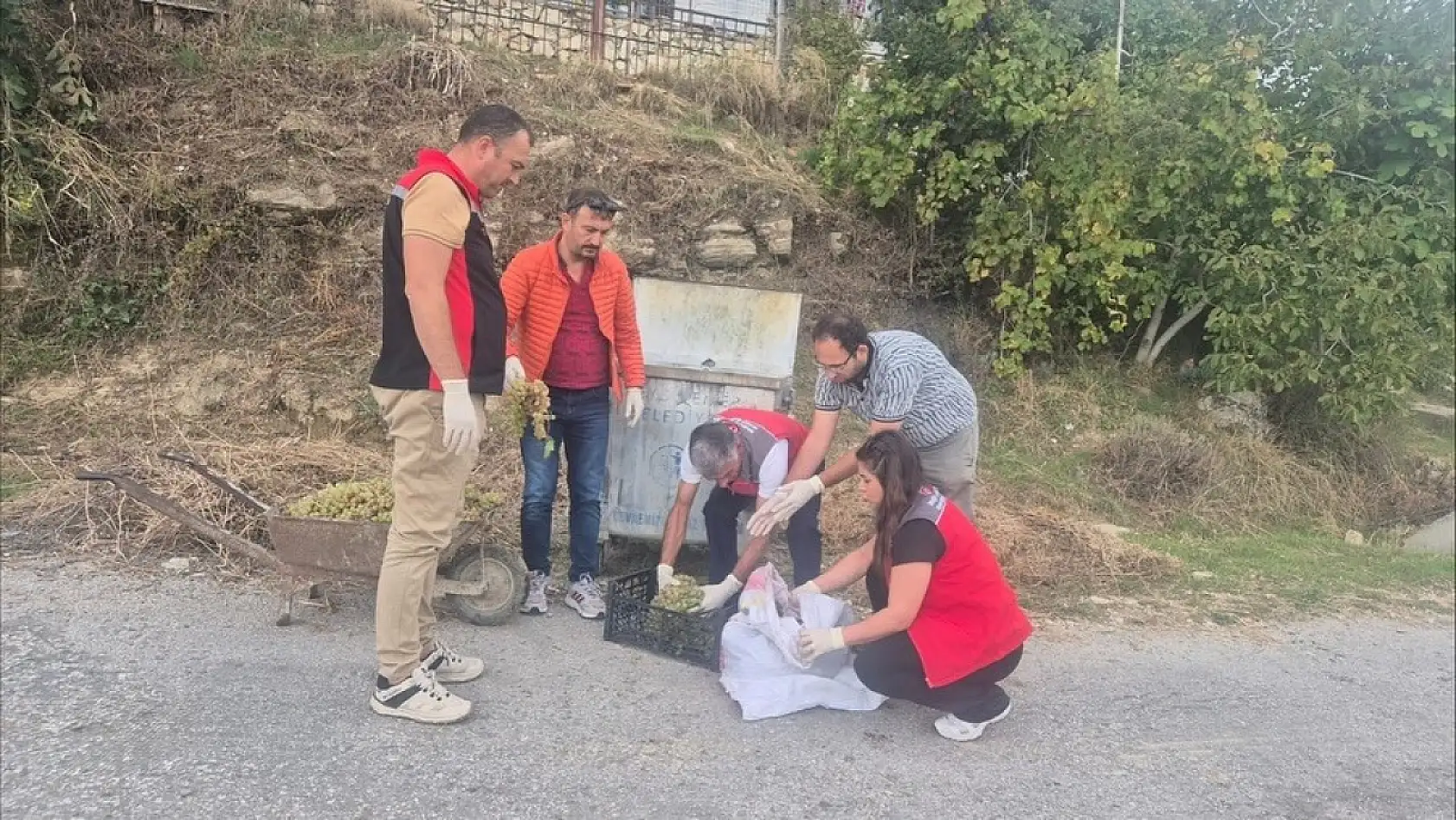 Muğla'da hasat öncesi denetimlerde yasaklı maddeye geçit yok