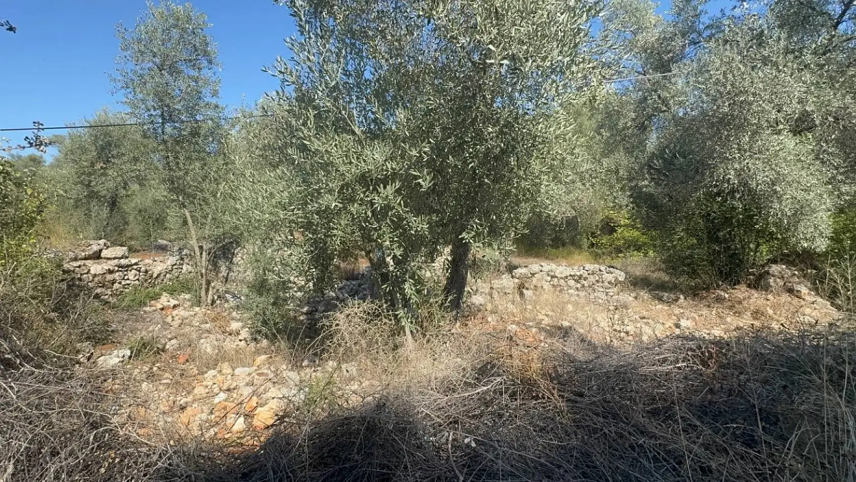 Marmaris'te Kanuni'nin Rodos yolu üzerindeki tarihi sarnıç unutuldu