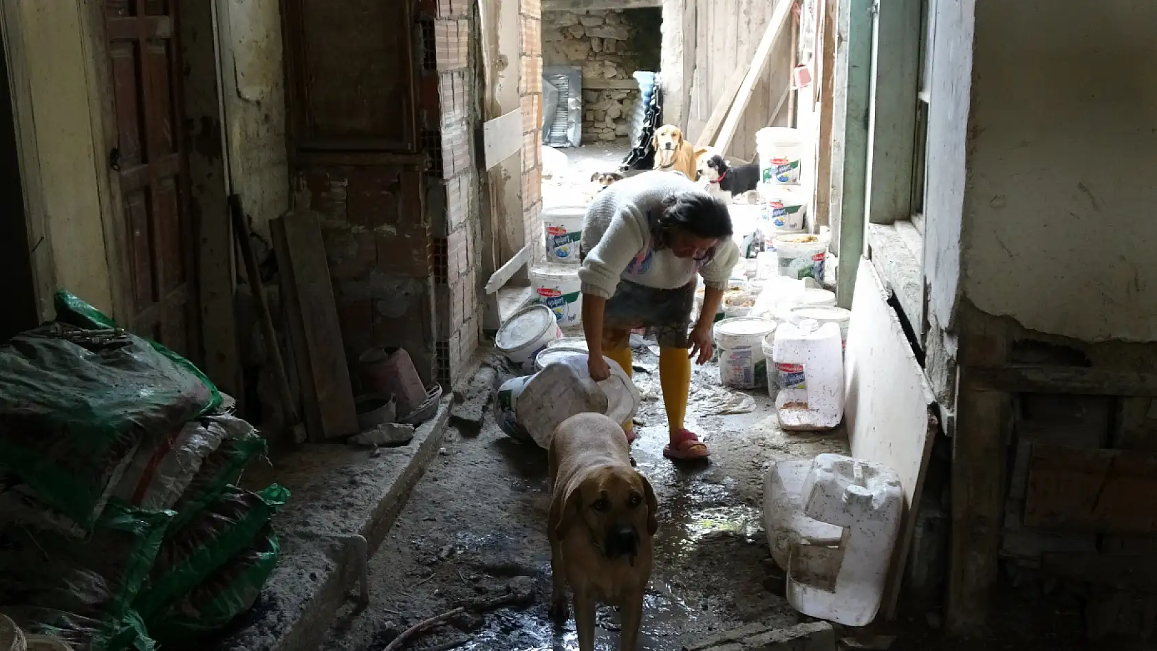 Ev sahibiyle kiracının 'çöplüğe dönmüş bahçe' kavgası