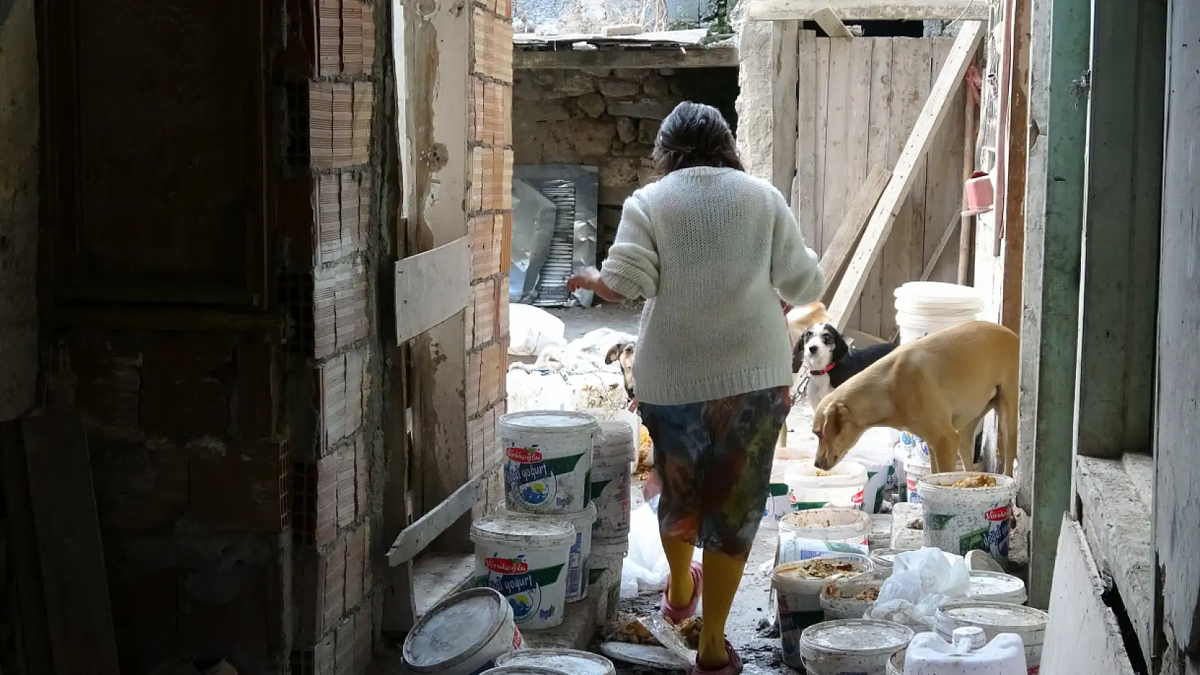 Ev sahibiyle kiracının 'çöplüğe dönmüş bahçe' kavgası