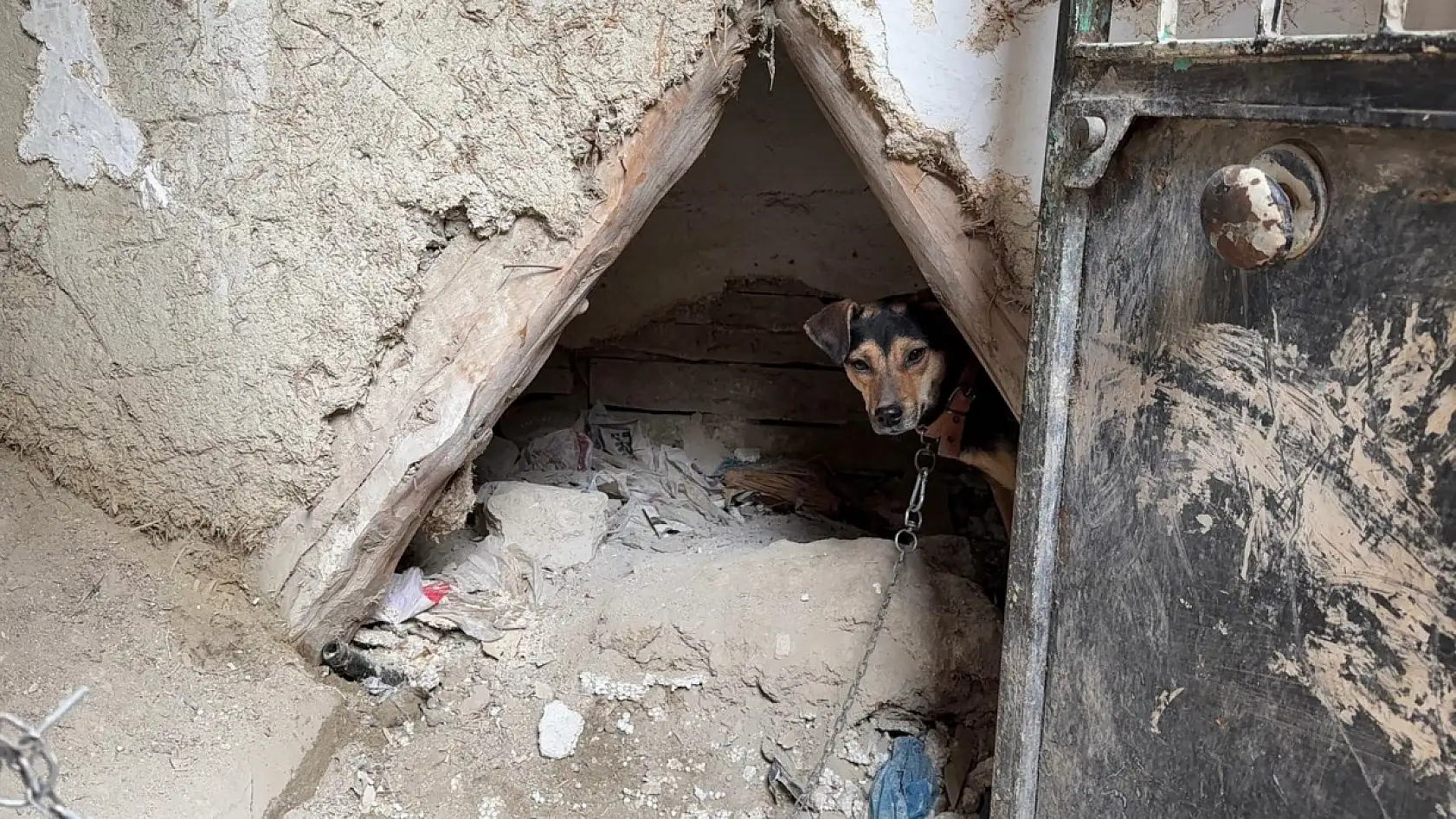 Ev sahibiyle kiracının 'çöplüğe dönmüş bahçe' kavgası