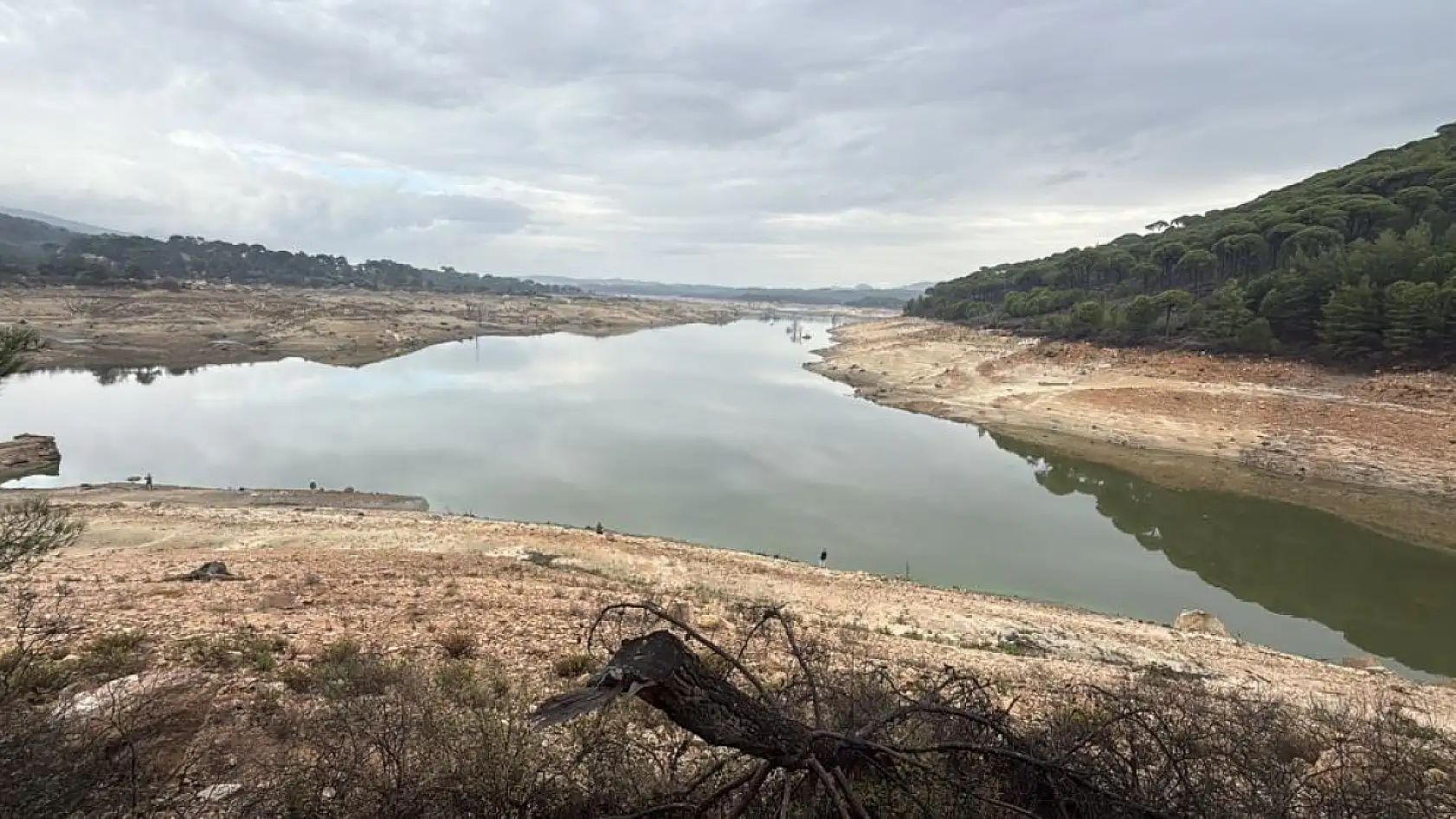 Bodrum'da su alarmı: Barajlar kritik seviyede