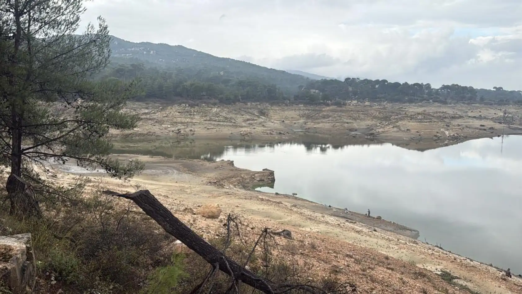 Bodrum'da su alarmı: Barajlar kritik seviyede