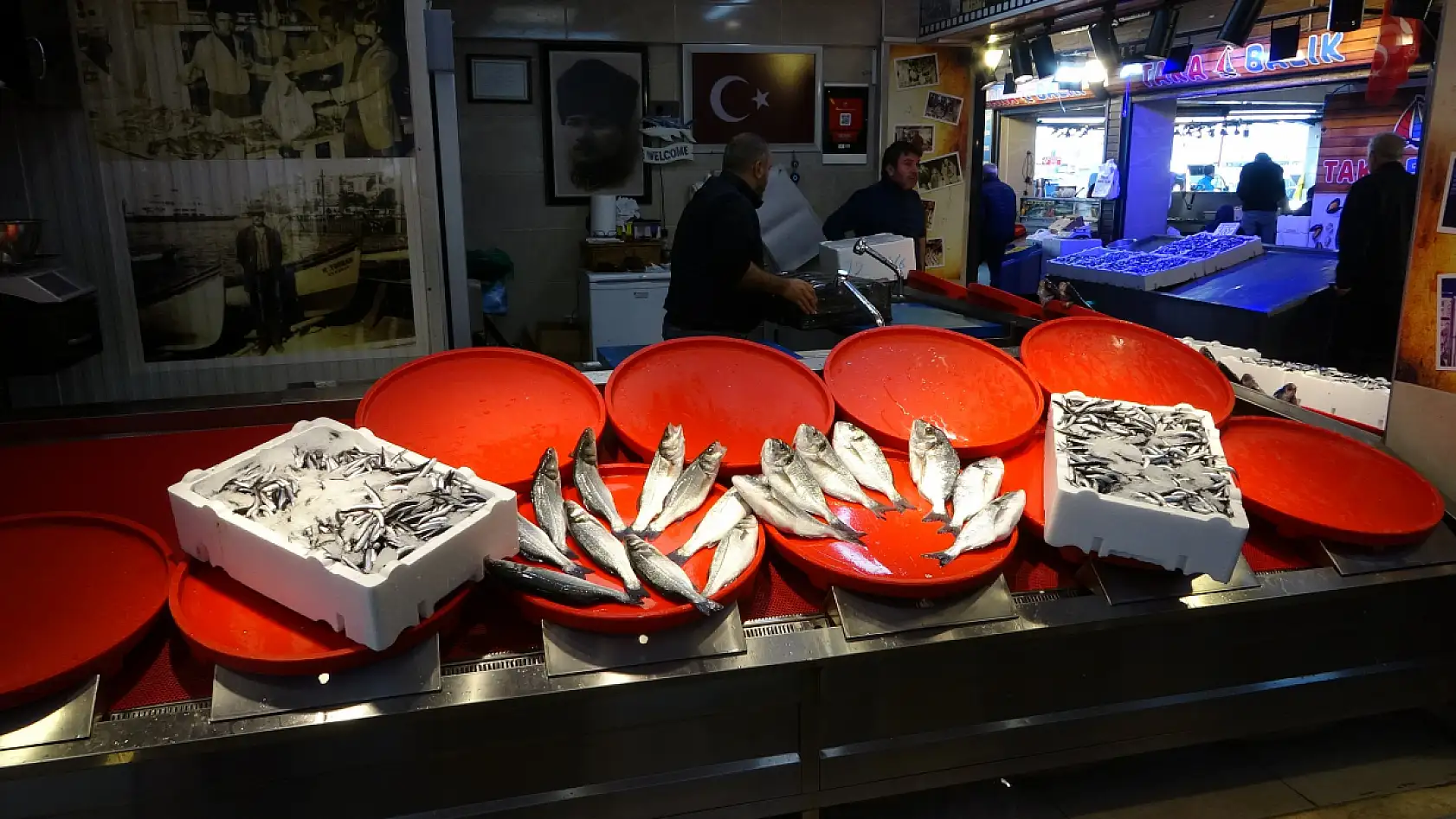 Palamut sezonu başlamadan bitti, umutlar seneye kaldı