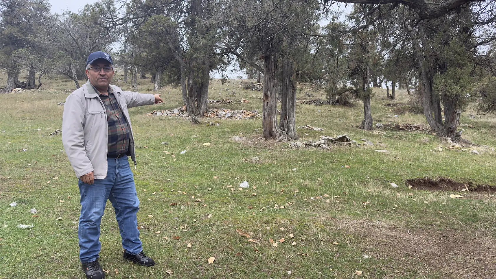 Bu ormana asırlardır balta girmiyor, kuruyup yıkılan ağaçlarda ormanda bırakılıyor