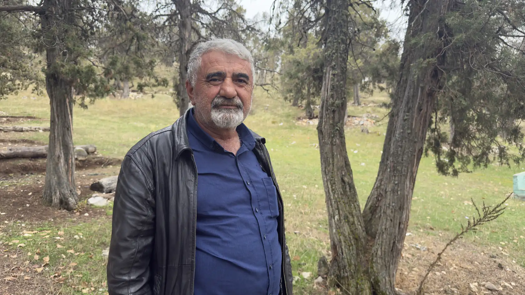 Bu ormana asırlardır balta girmiyor, kuruyup yıkılan ağaçlarda ormanda bırakılıyor