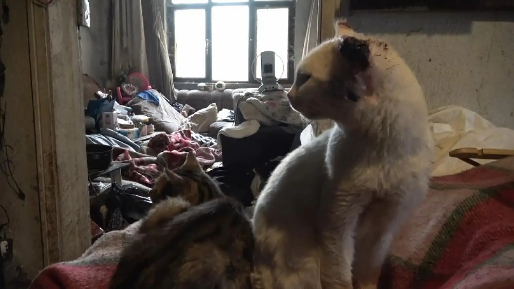 Yalnız yaşayan adamın evinde korkunç manzara