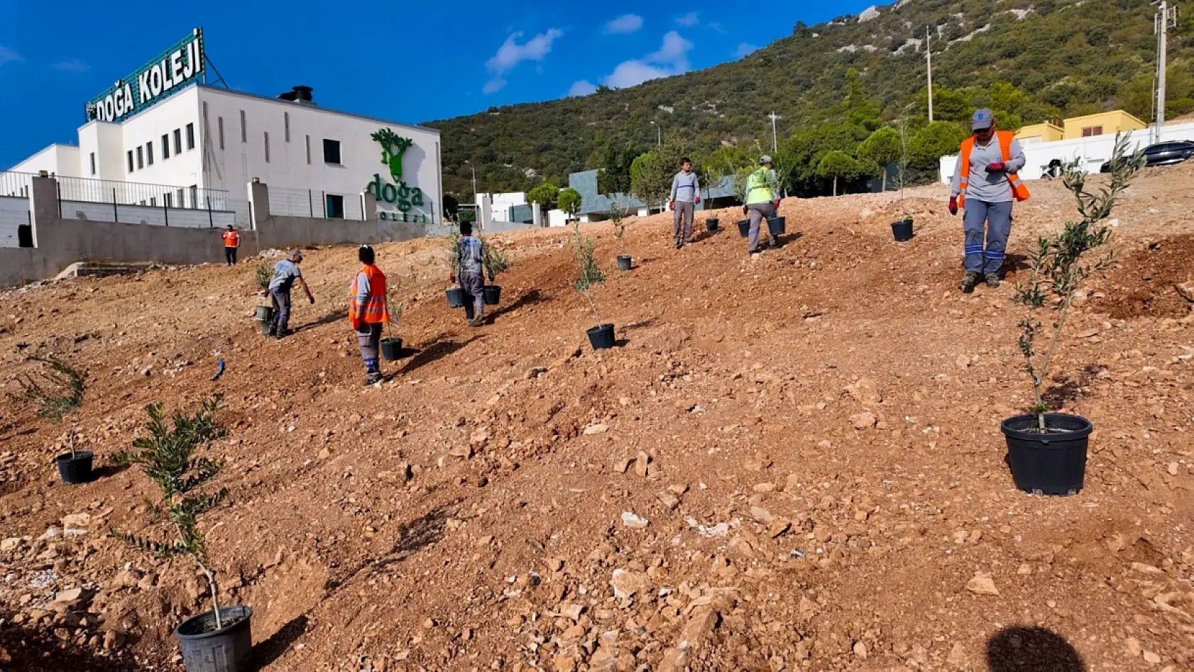 Bodrum Belediyesi çocukları doğayla buluşturdu
