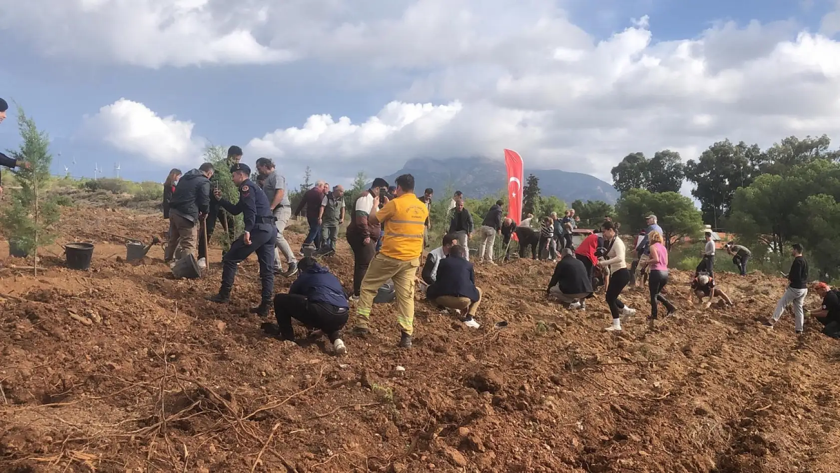 Datça'da fidanlar toprakla buluştu