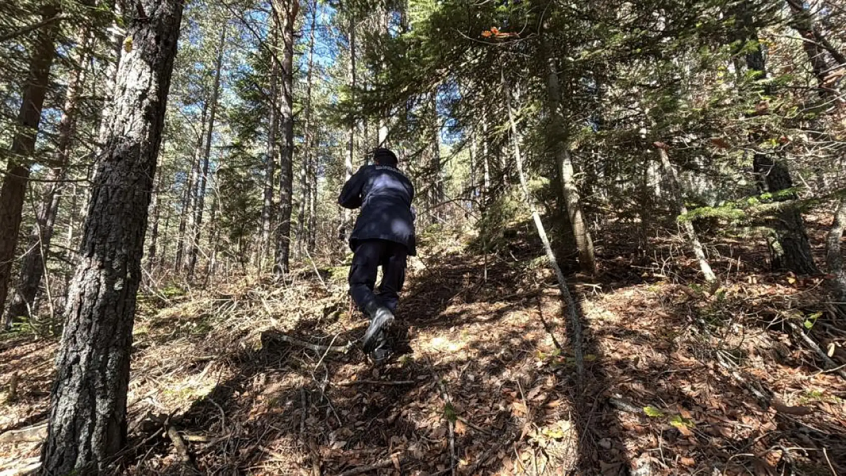 Ormanda kaybolan 88 yaşındaki adamdan acı haber: Dere yatağında cansız bedenine ulaşıldı
