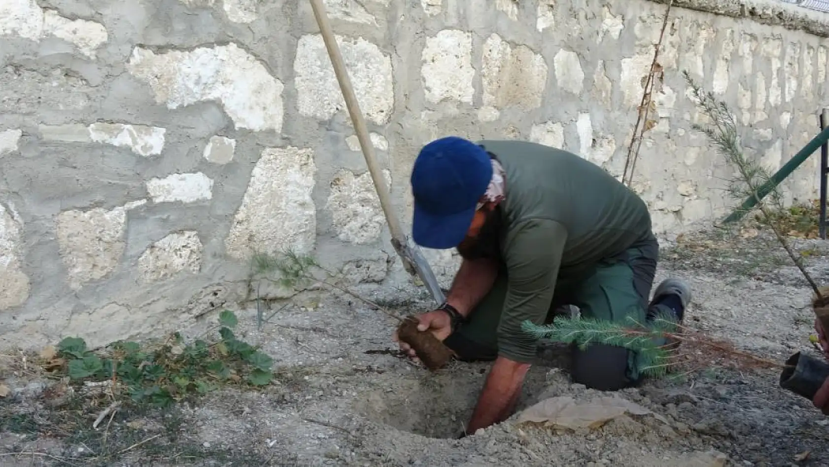 Köpeği ile birlikte tüm Türkiye'yi gezip fidan dikiyor