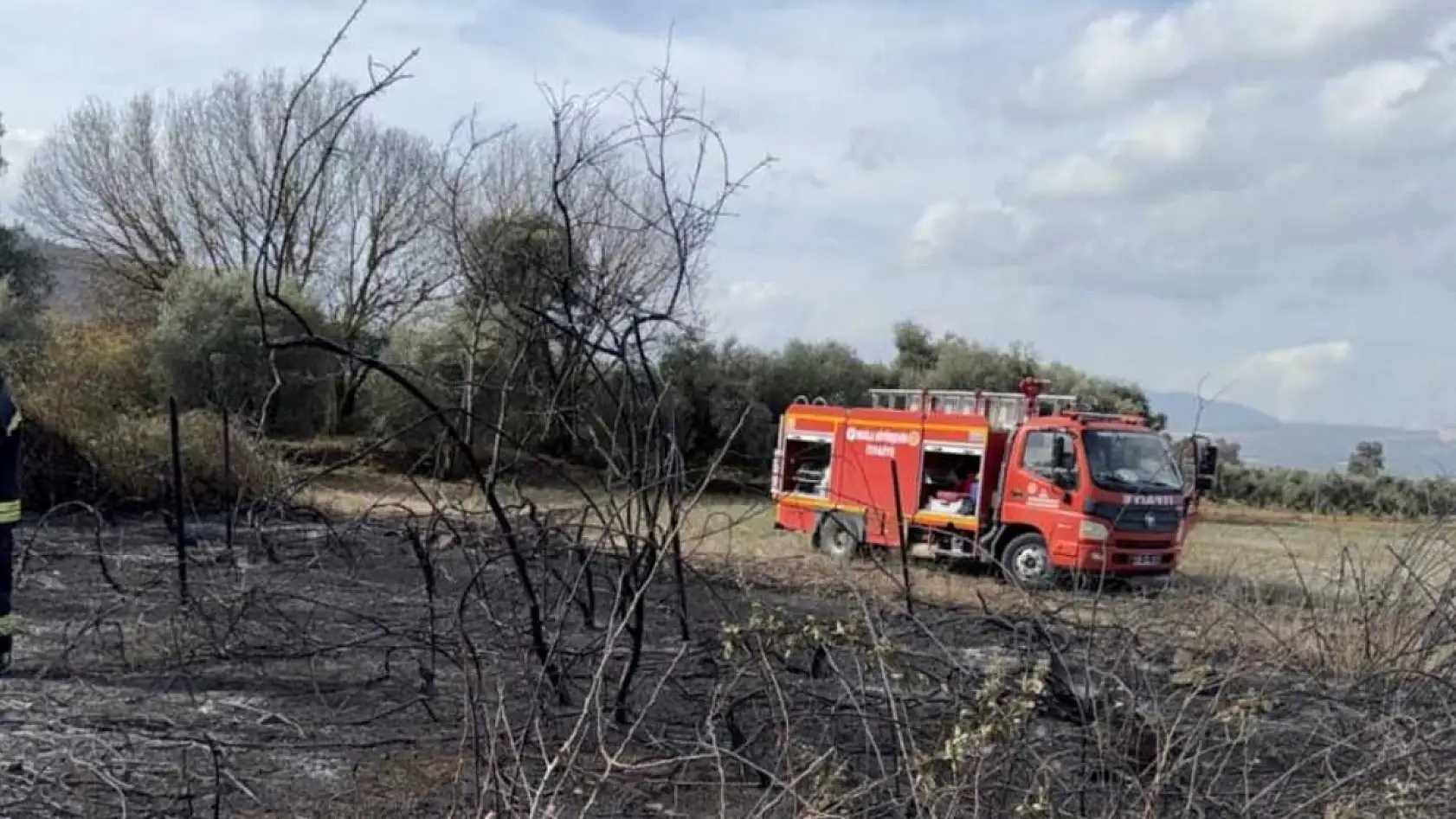 Muğla'da üzüm bağları alevlere teslim oldu