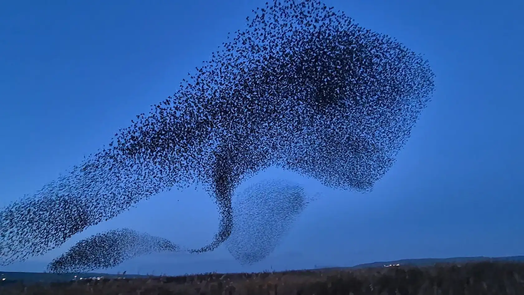 Gökyüzünde terapi etkisi: Sığırcıklardan muhteşem dans