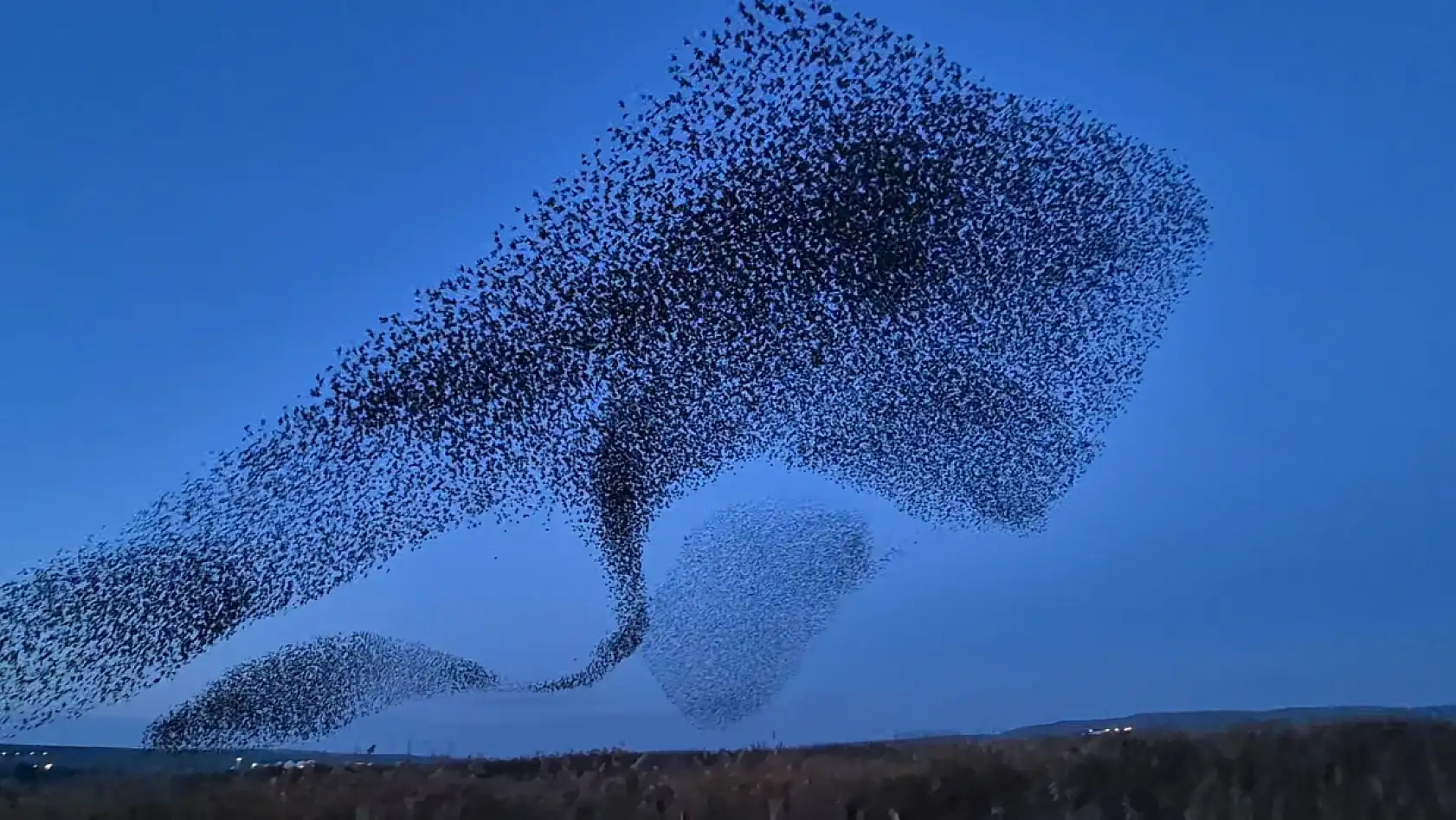 Gökyüzünde terapi etkisi: Sığırcıklardan muhteşem dans