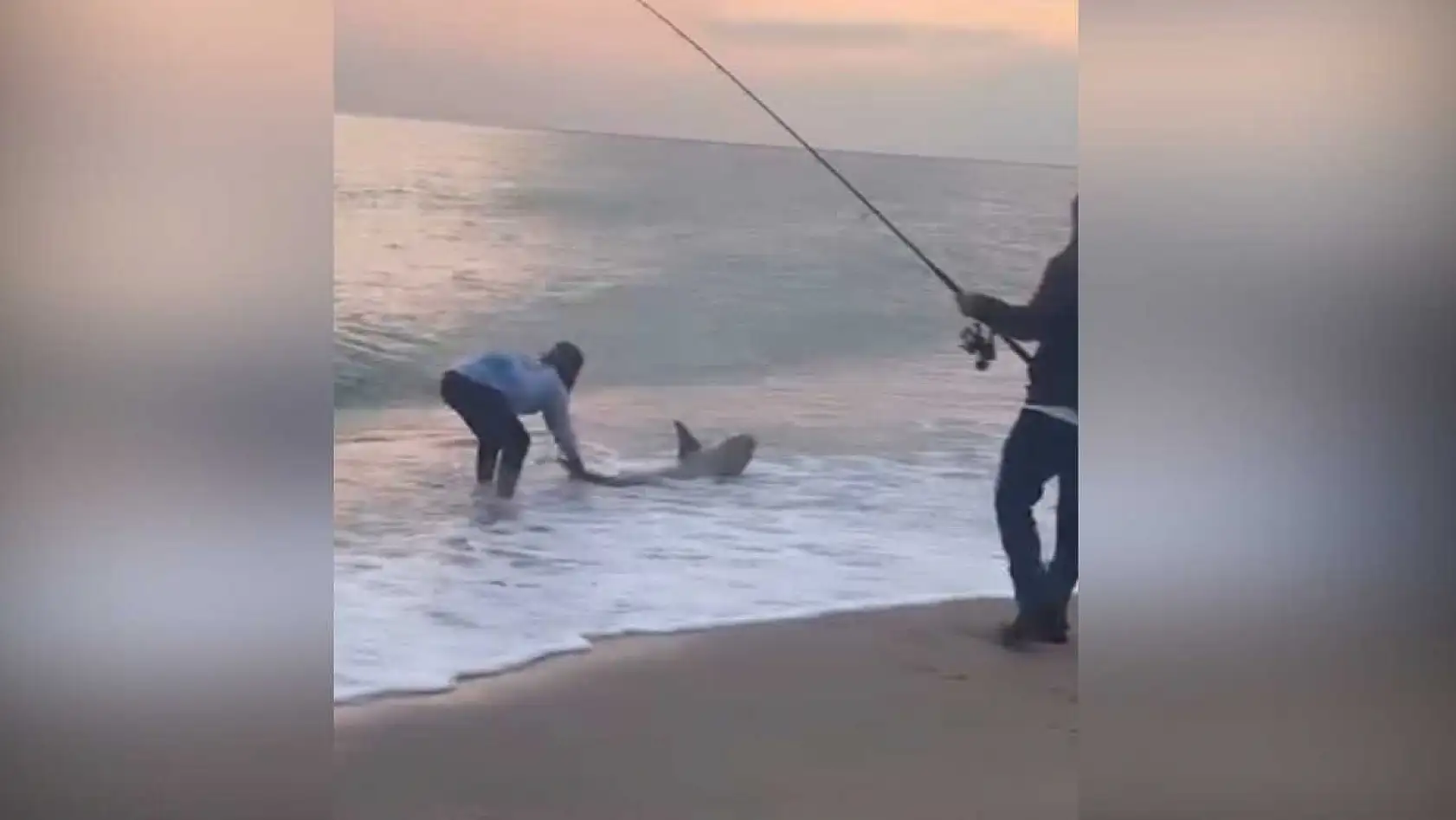 Amatör kıyı balıkçısının oltasına köpek balığı takıldı