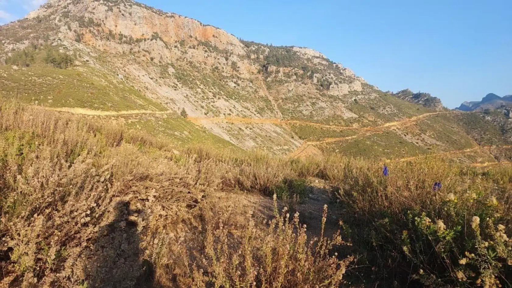 Dağda mantar toplarken fenalaşan adam hayatını kaybetti