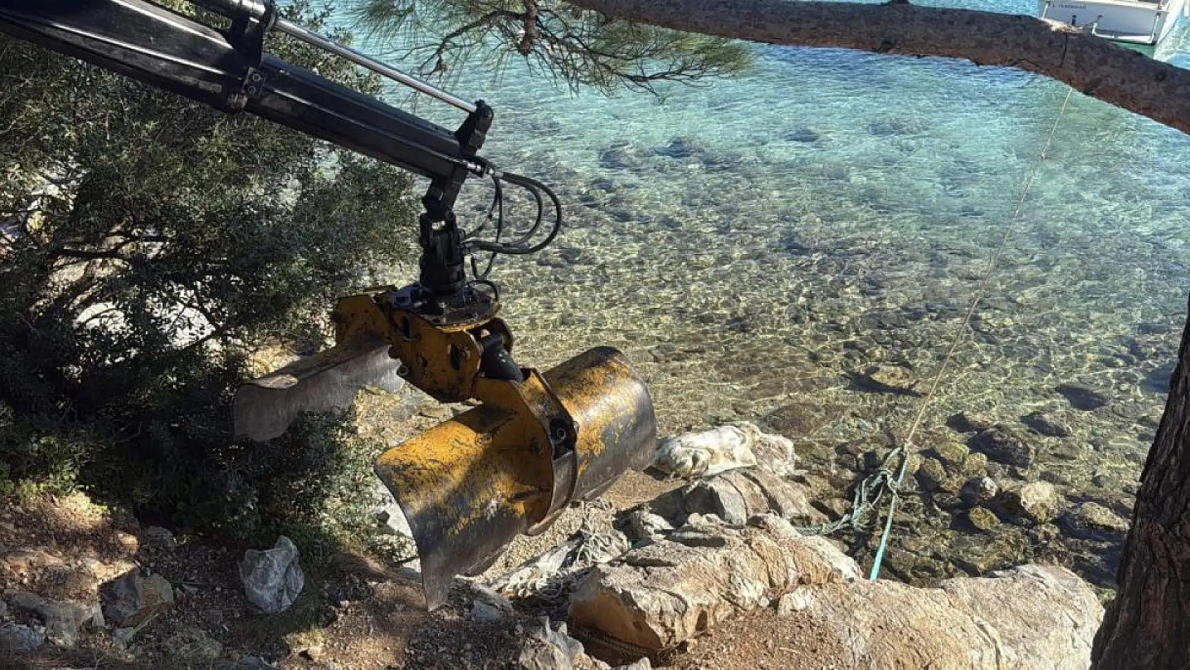 Bodrum sahiline vuran caretta caretta vinçle kaldırıldı