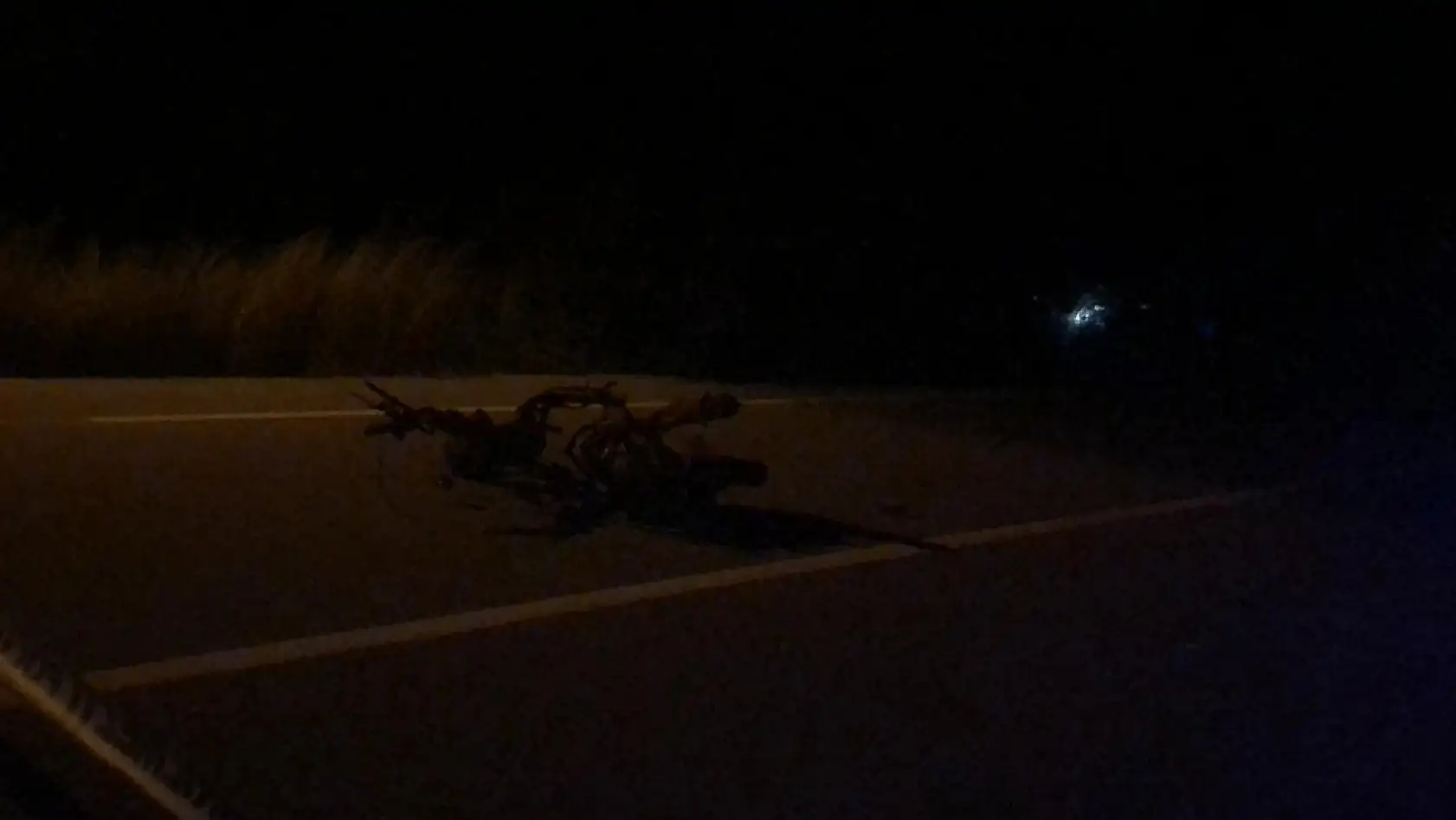 Datça'da trafik kazası: 2 ölü