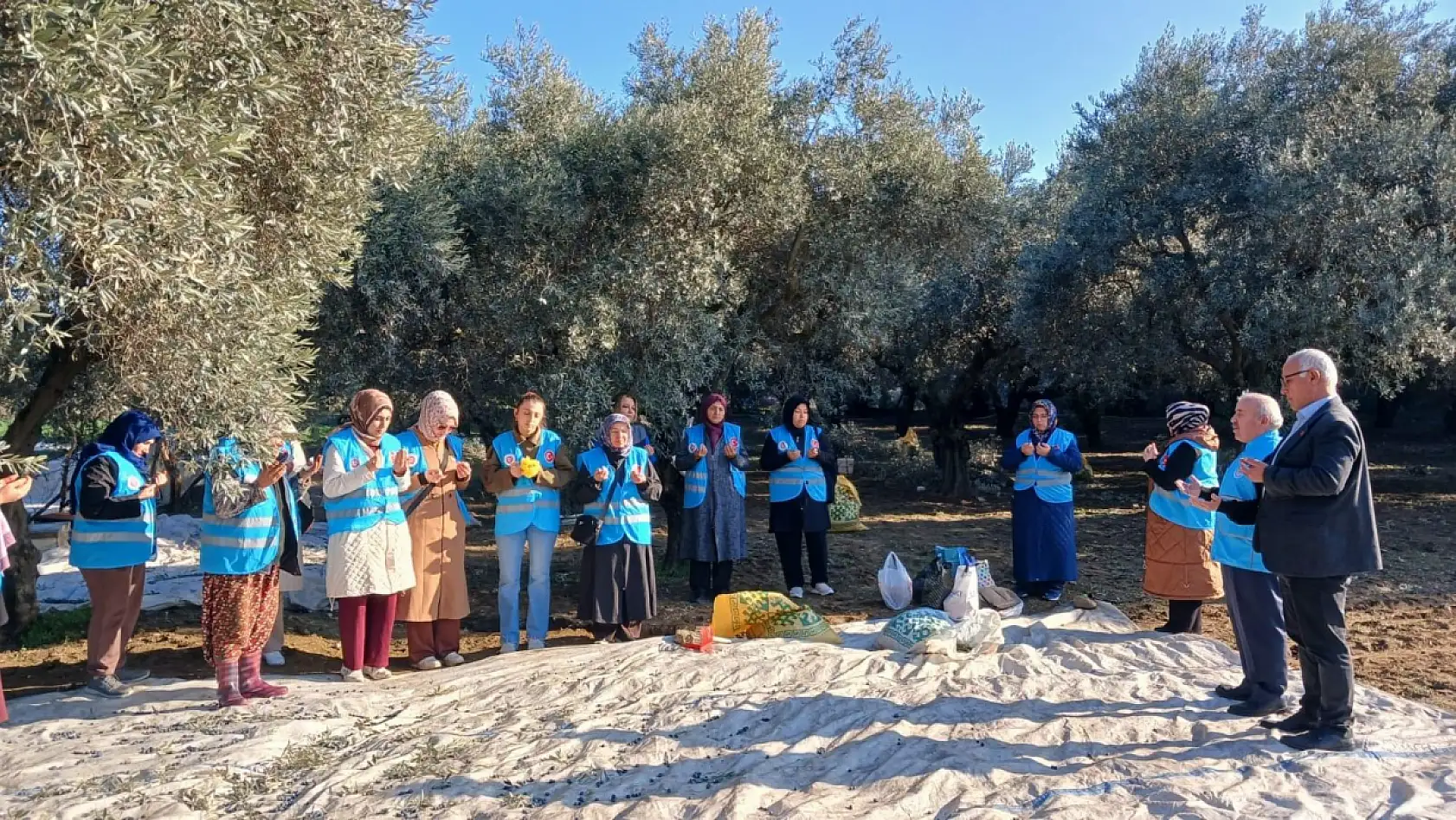 Yatağan'da zeytin hasadı ve bereket duası yapıldı