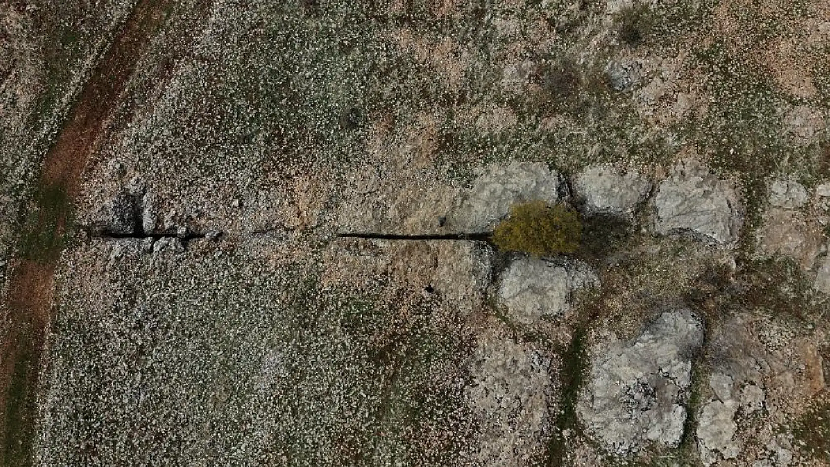 Yüz milyonlarca yıl önceye ait fosiller bulundu