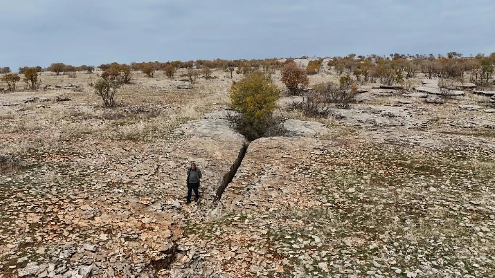 Yüz milyonlarca yıl önceye ait fosiller bulundu