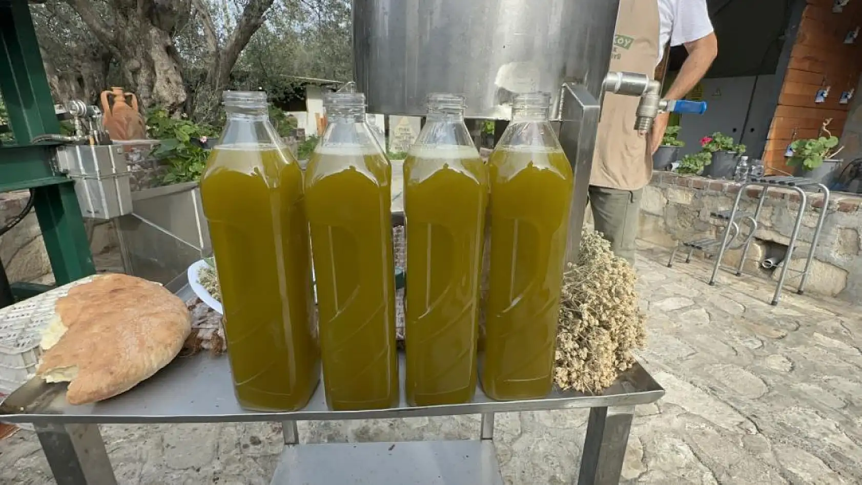 Zeytinyağında dededen kalma 'taş baskı' yöntemini yaşatıyor