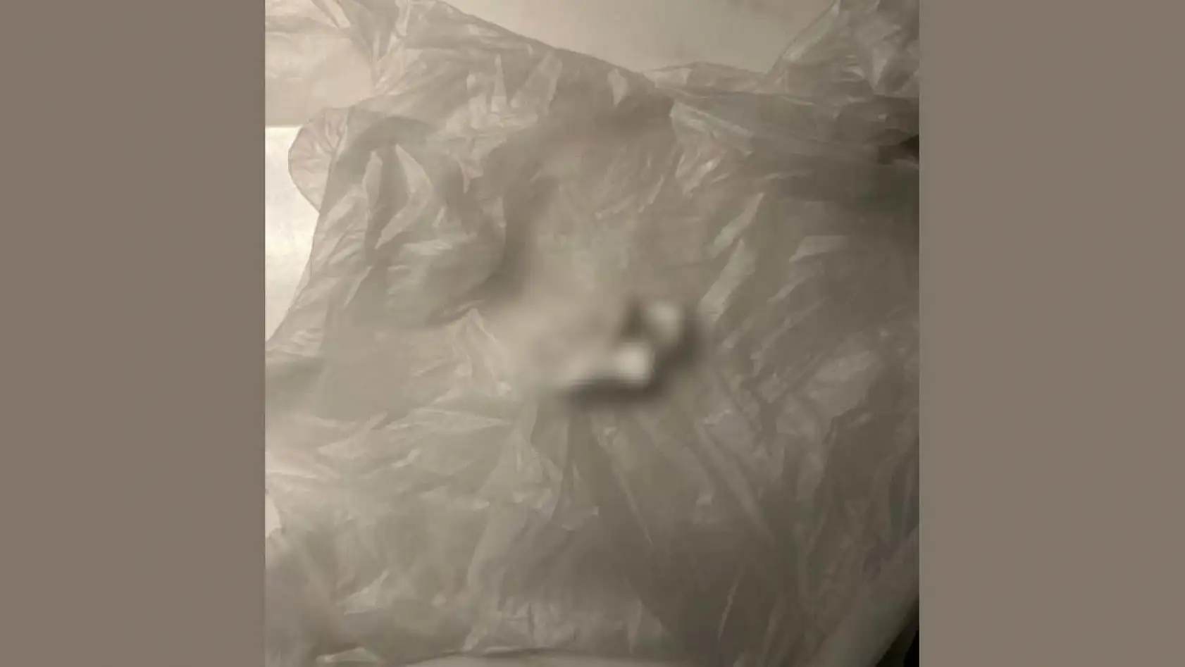 İstanbul ve Muğla'da Eş Zamanlı Uyuşturucu Baskınları