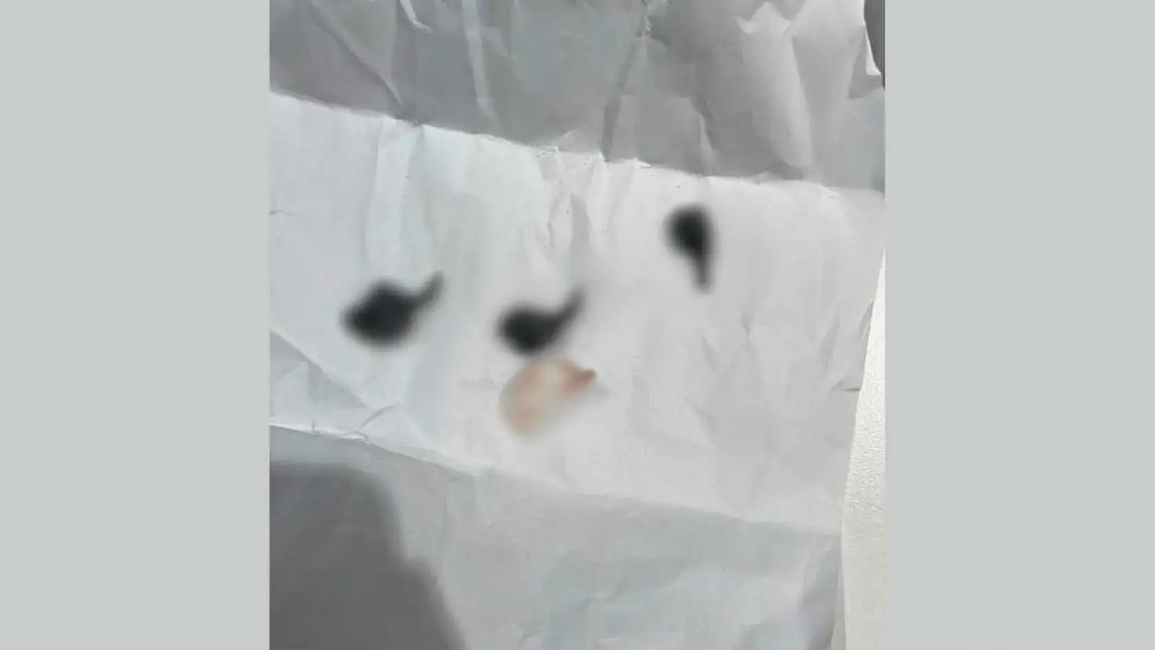 İstanbul ve Muğla'da Eş Zamanlı Uyuşturucu Baskınları